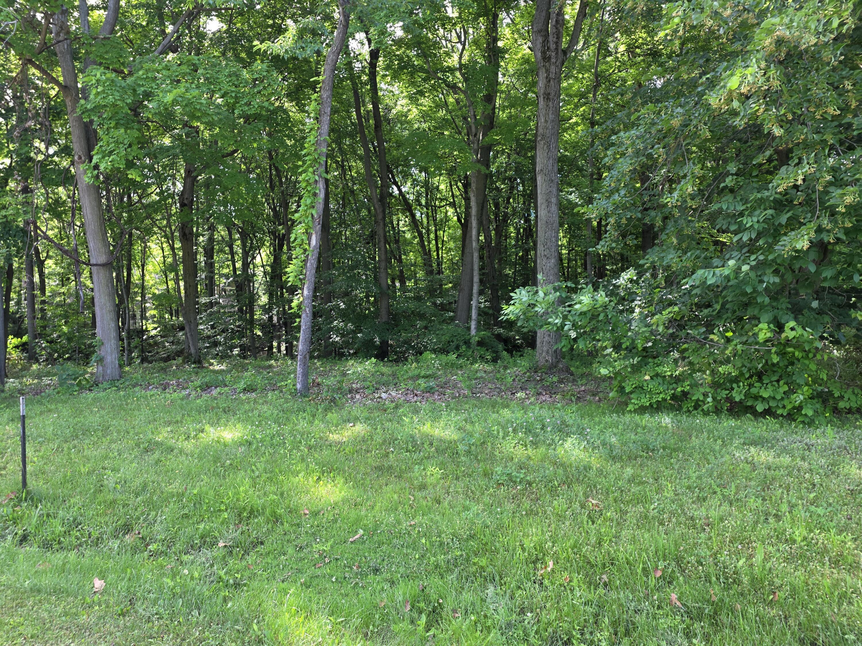 17647 Summerhill Lane New Buffalo MI 49117