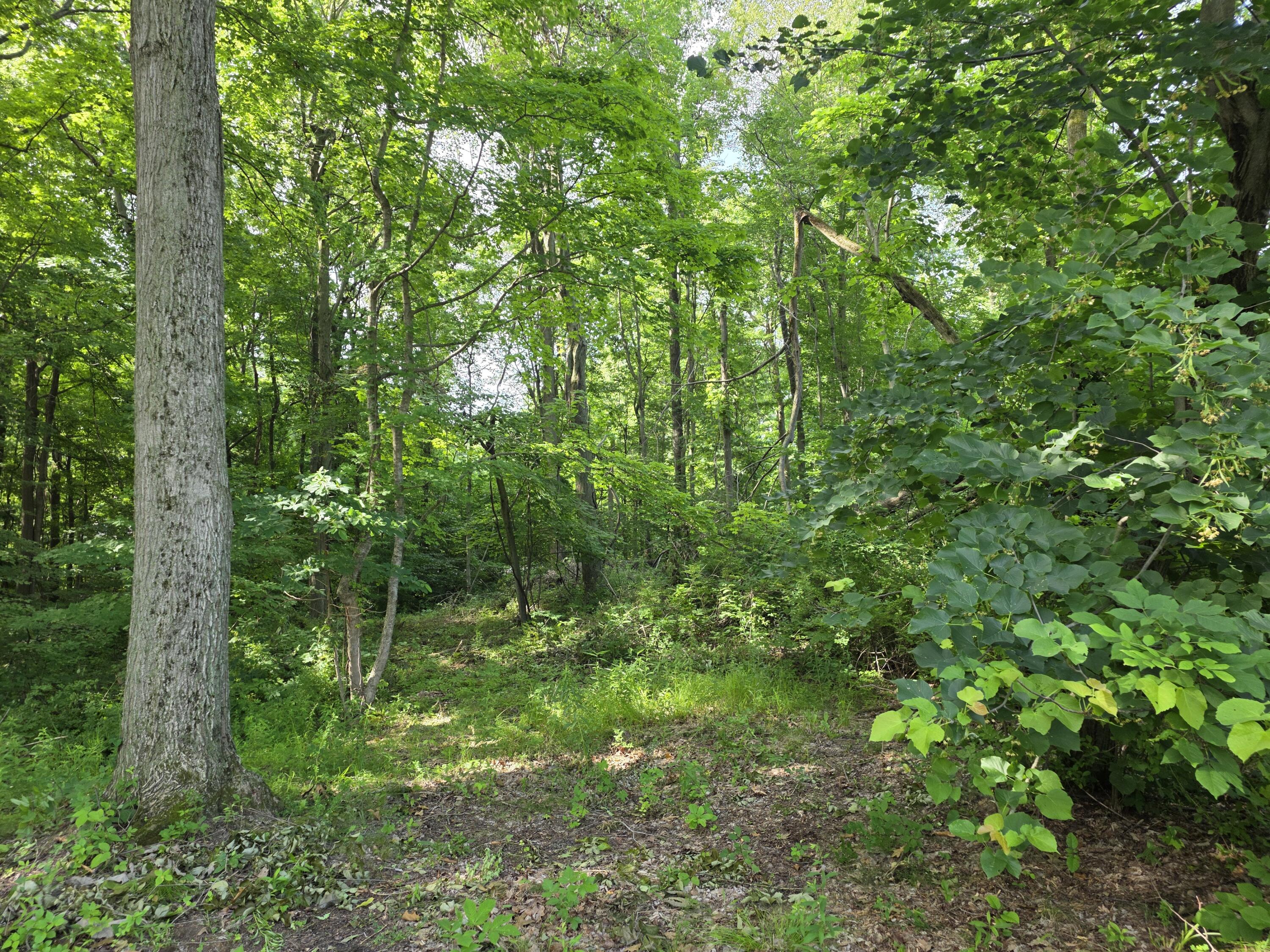 17647 Summerhill Lane New Buffalo MI 49117