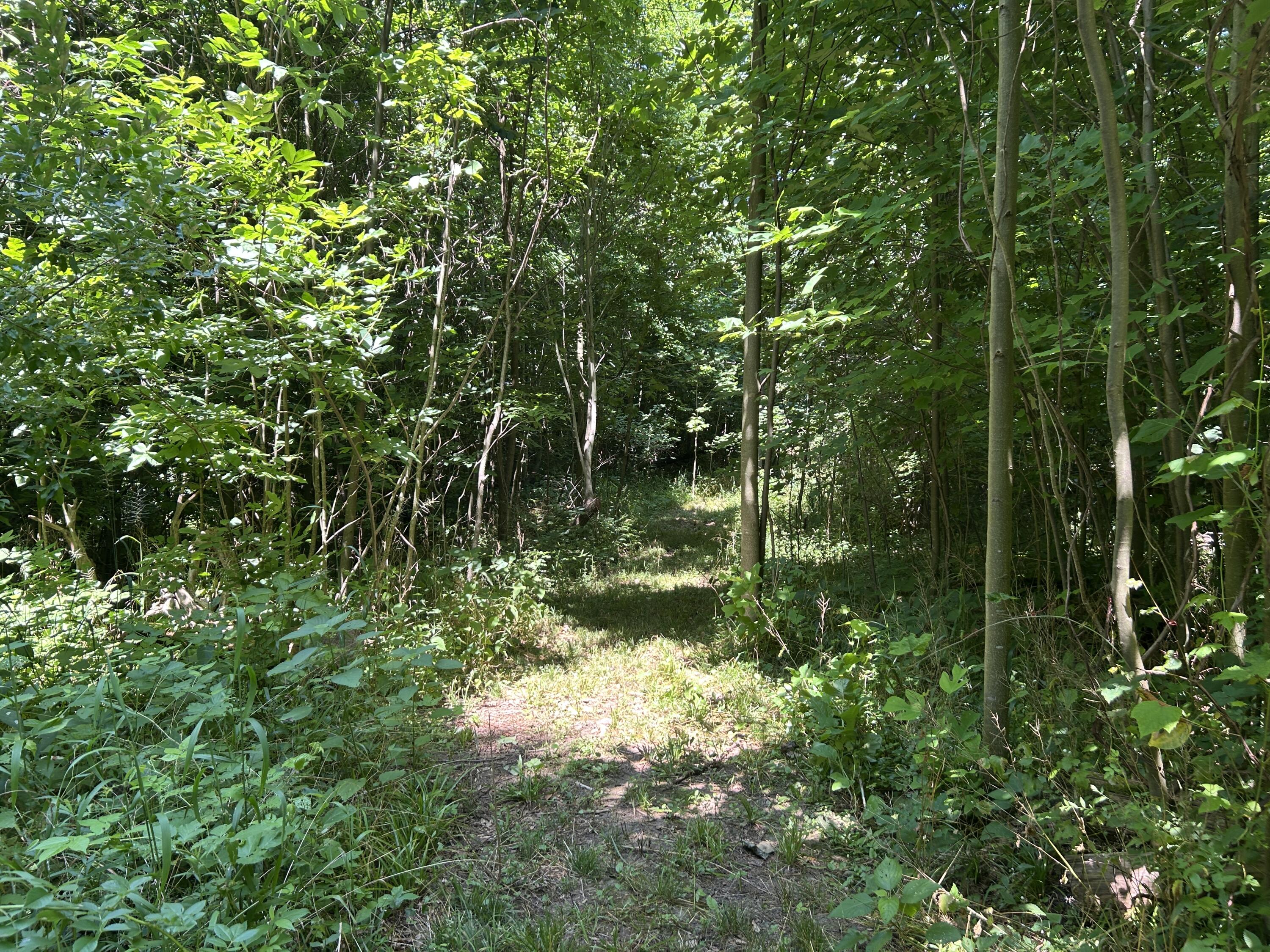 Stuck Road Marcellus MI 49067