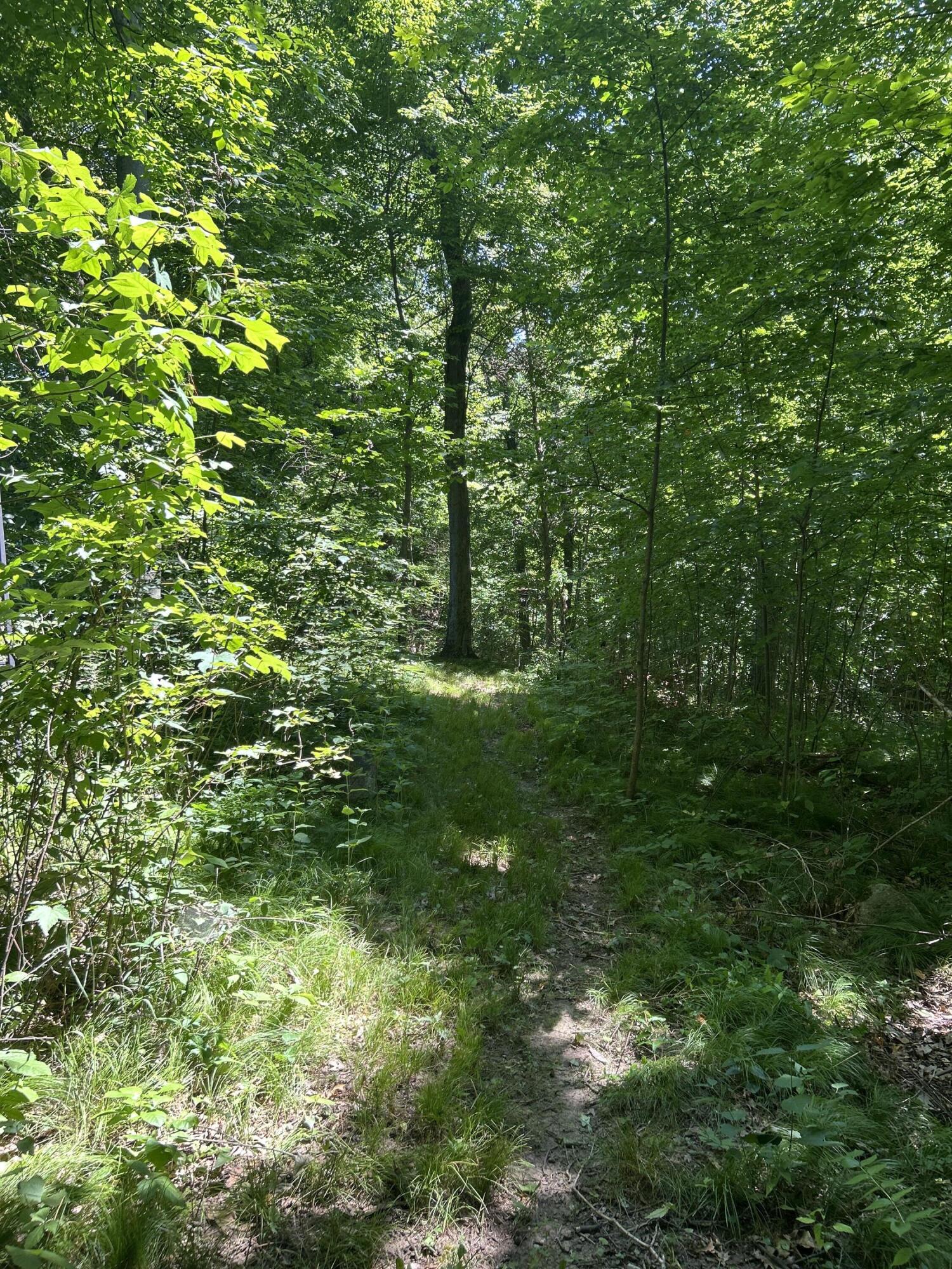 Stuck Road Marcellus MI 49067