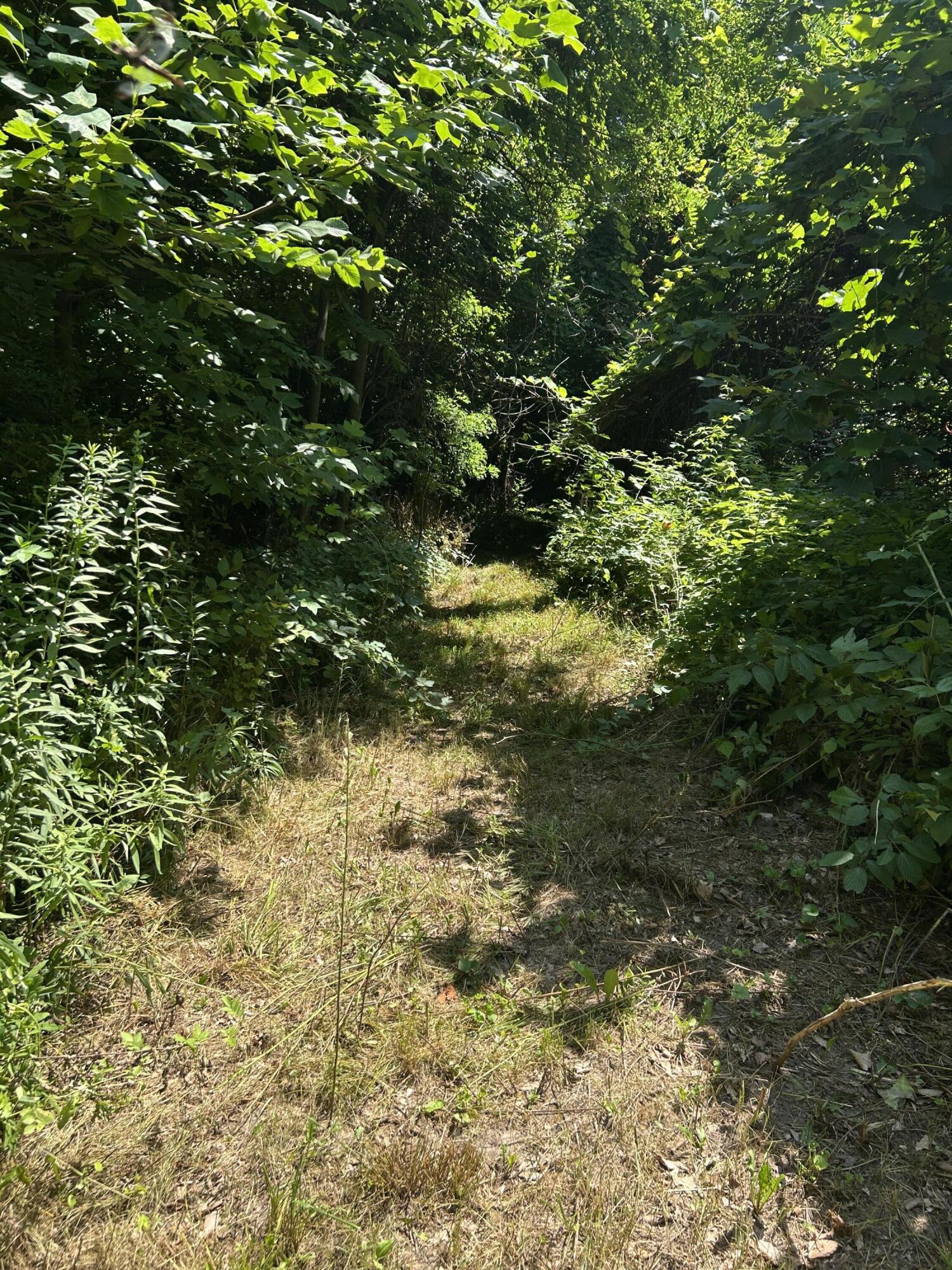 Stuck Road Marcellus MI 49067