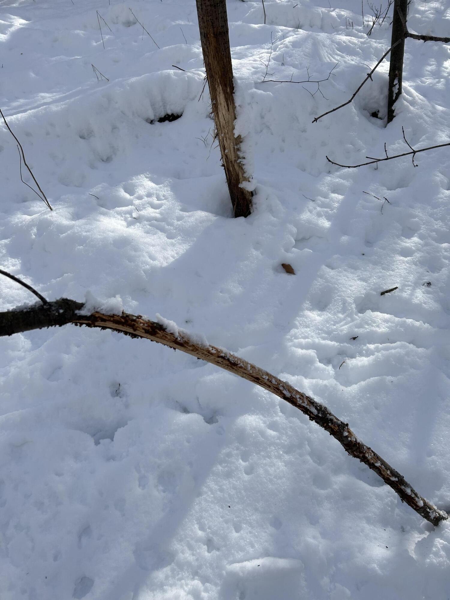 Stuck Road Marcellus MI 49067
