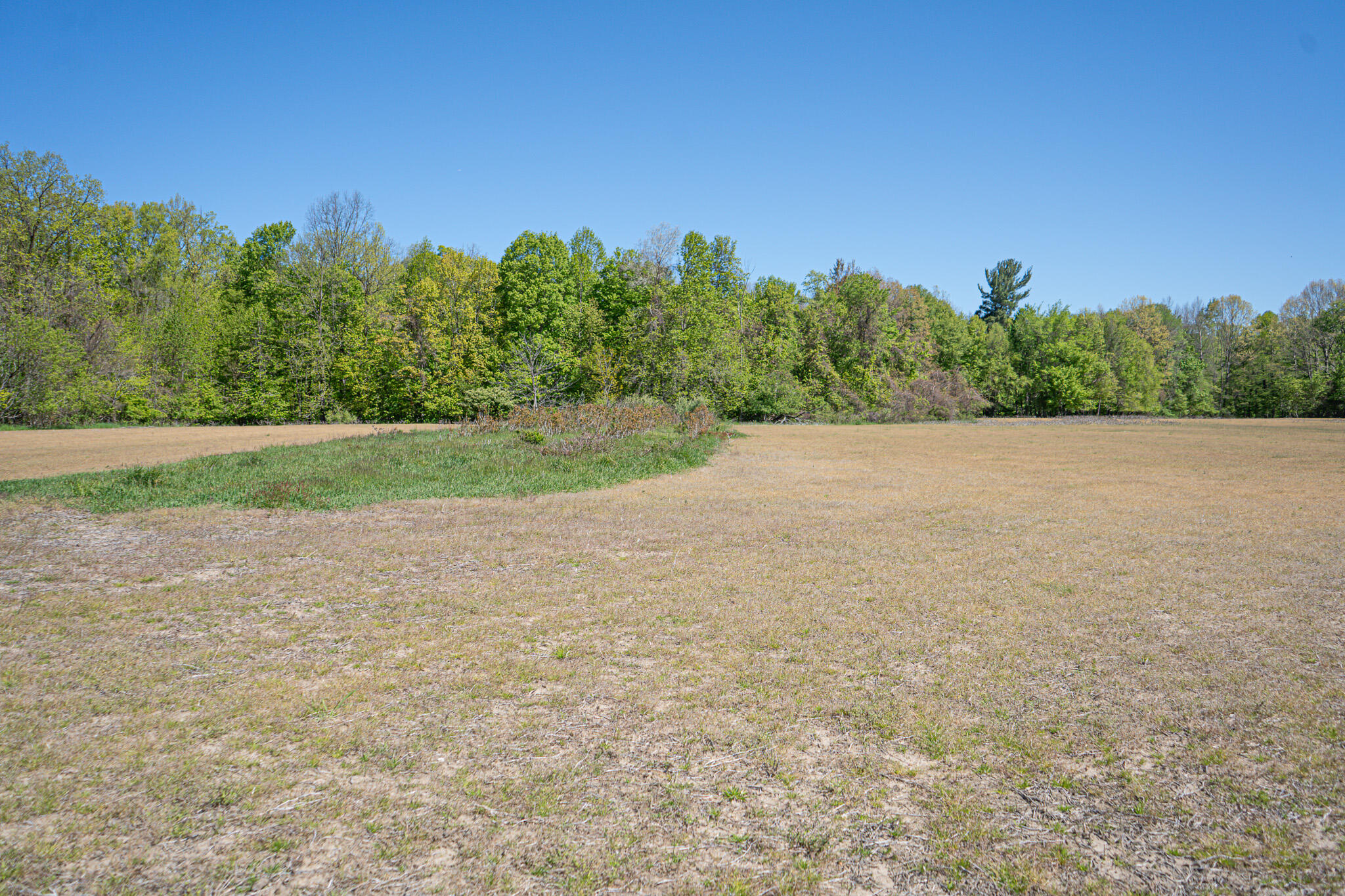 Parcel 2 8th Avenue South Haven MI 49090