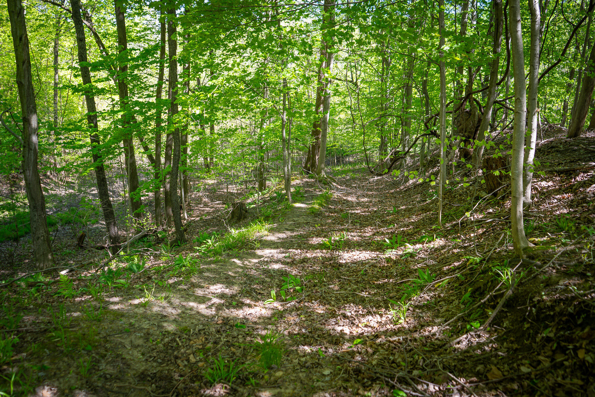 Parcel 2 8th Avenue South Haven MI 49090