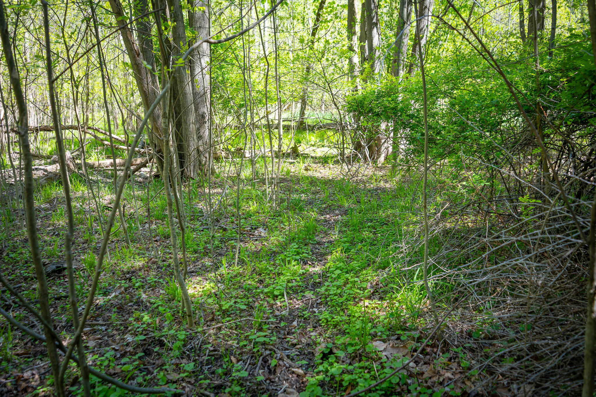Parcel 2 8th Avenue South Haven MI 49090