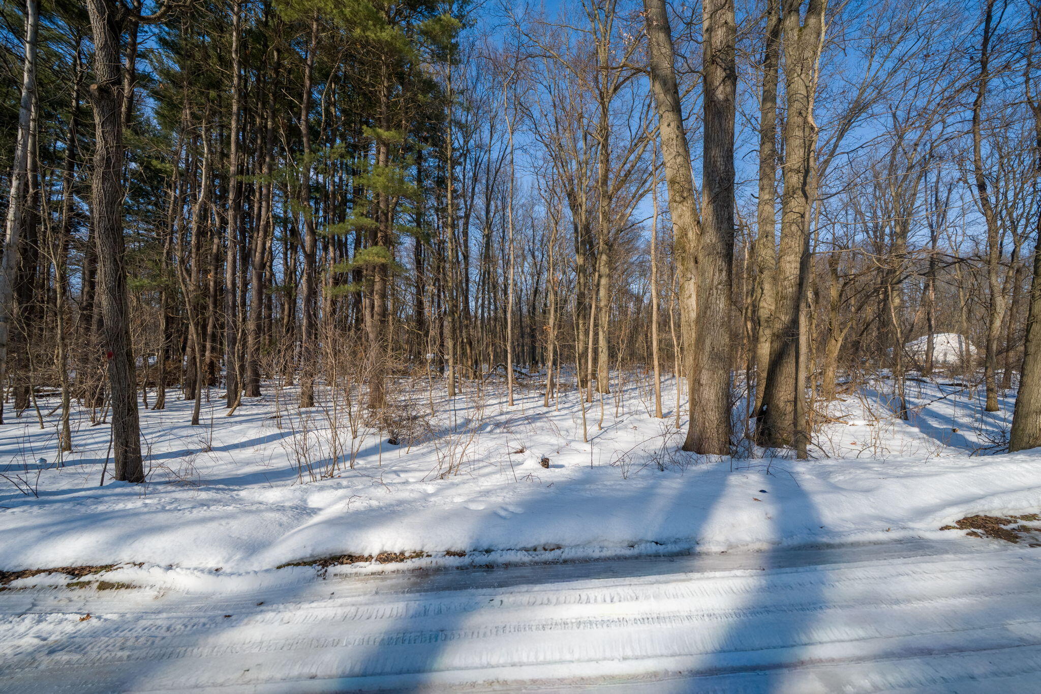 22160 Country Trace Edwardsburg MI 49112