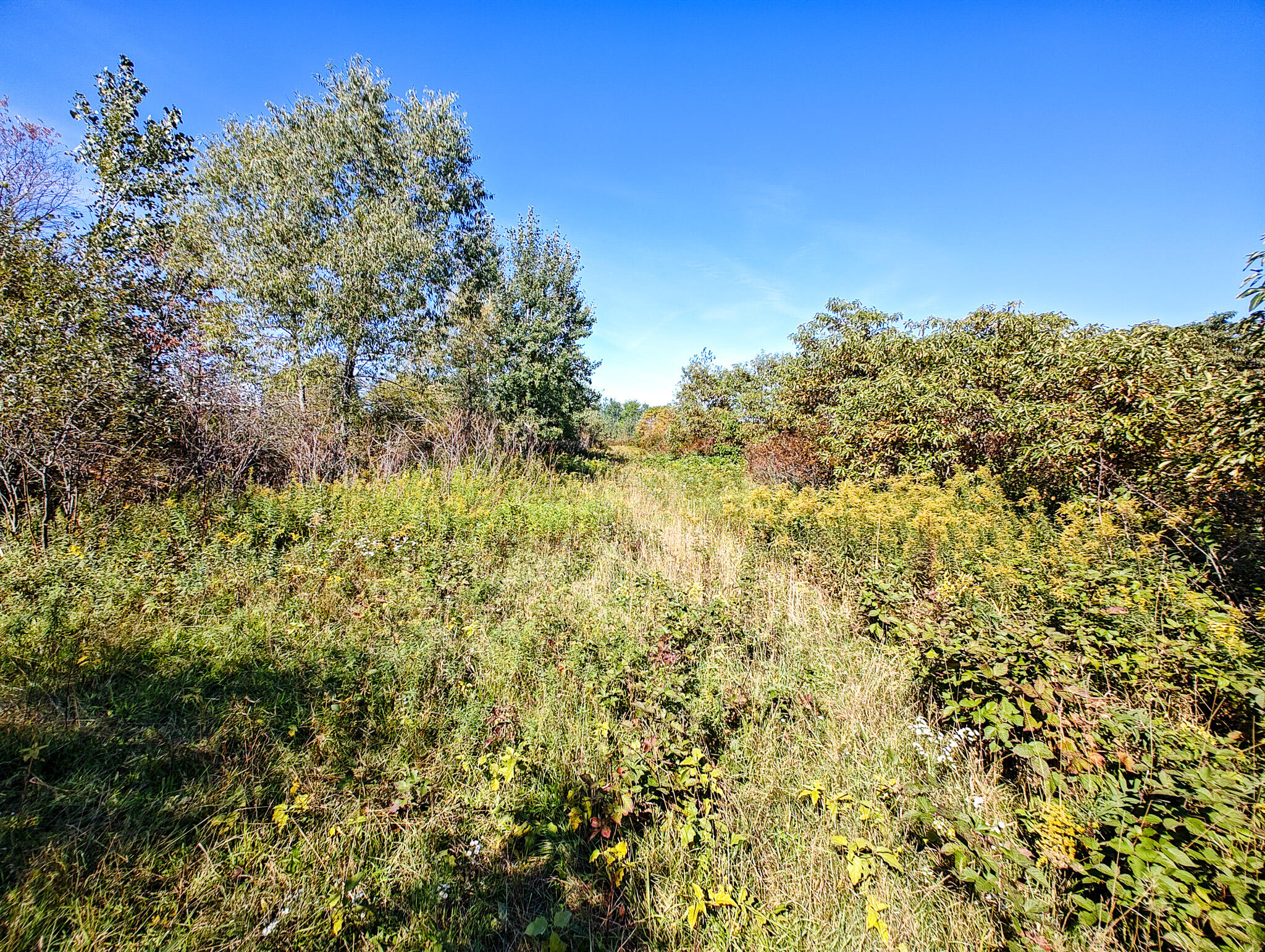 Vl 72nd Street Covert MI 49043