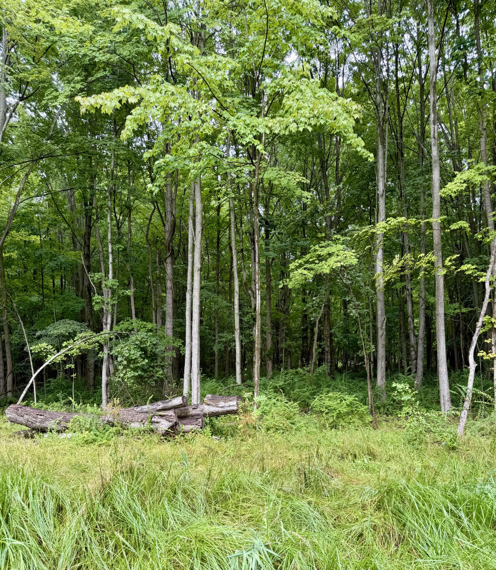 Lot 6 Christopher Lane South Haven MI 49090