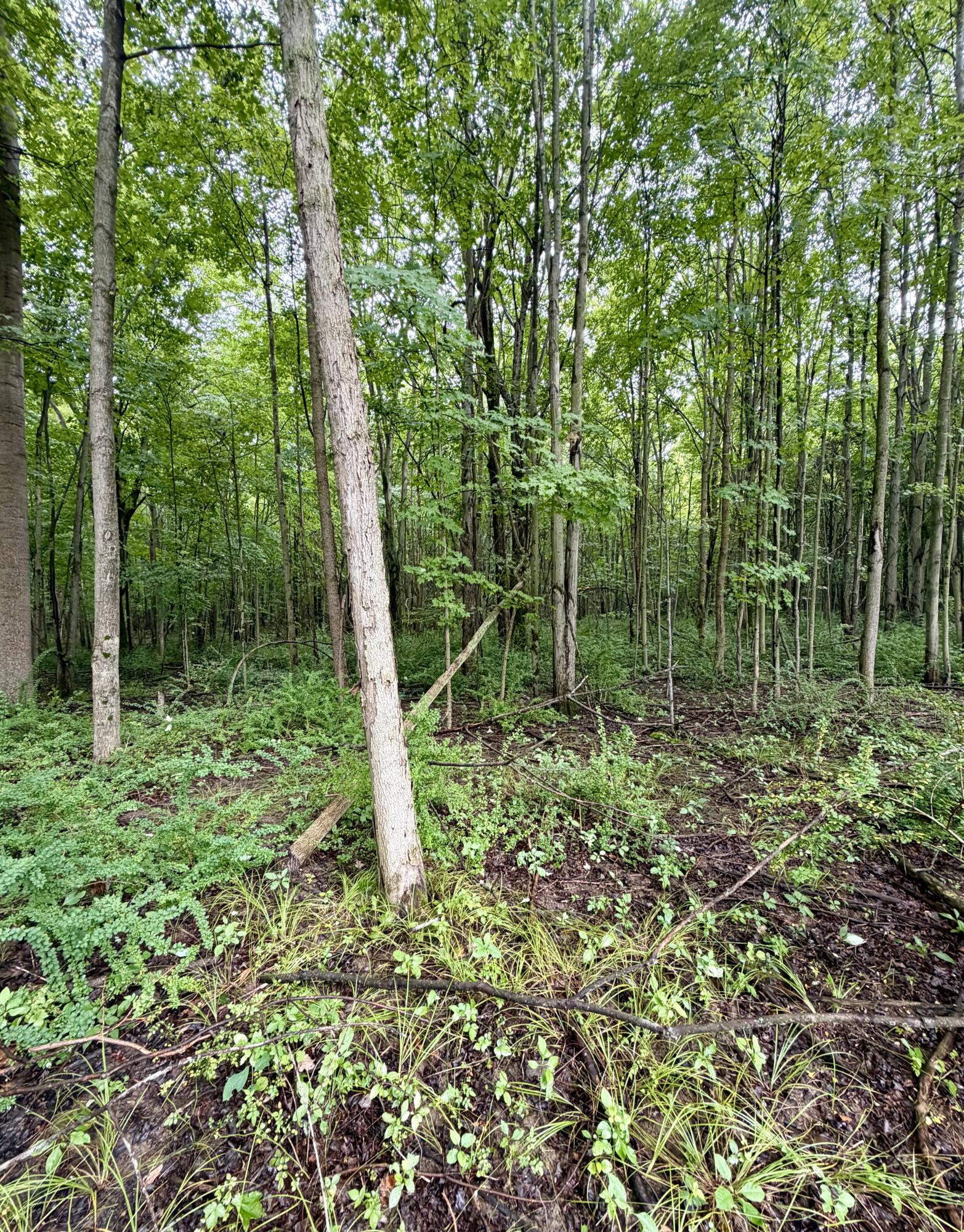 Lot 6 Christopher Lane South Haven MI 49090