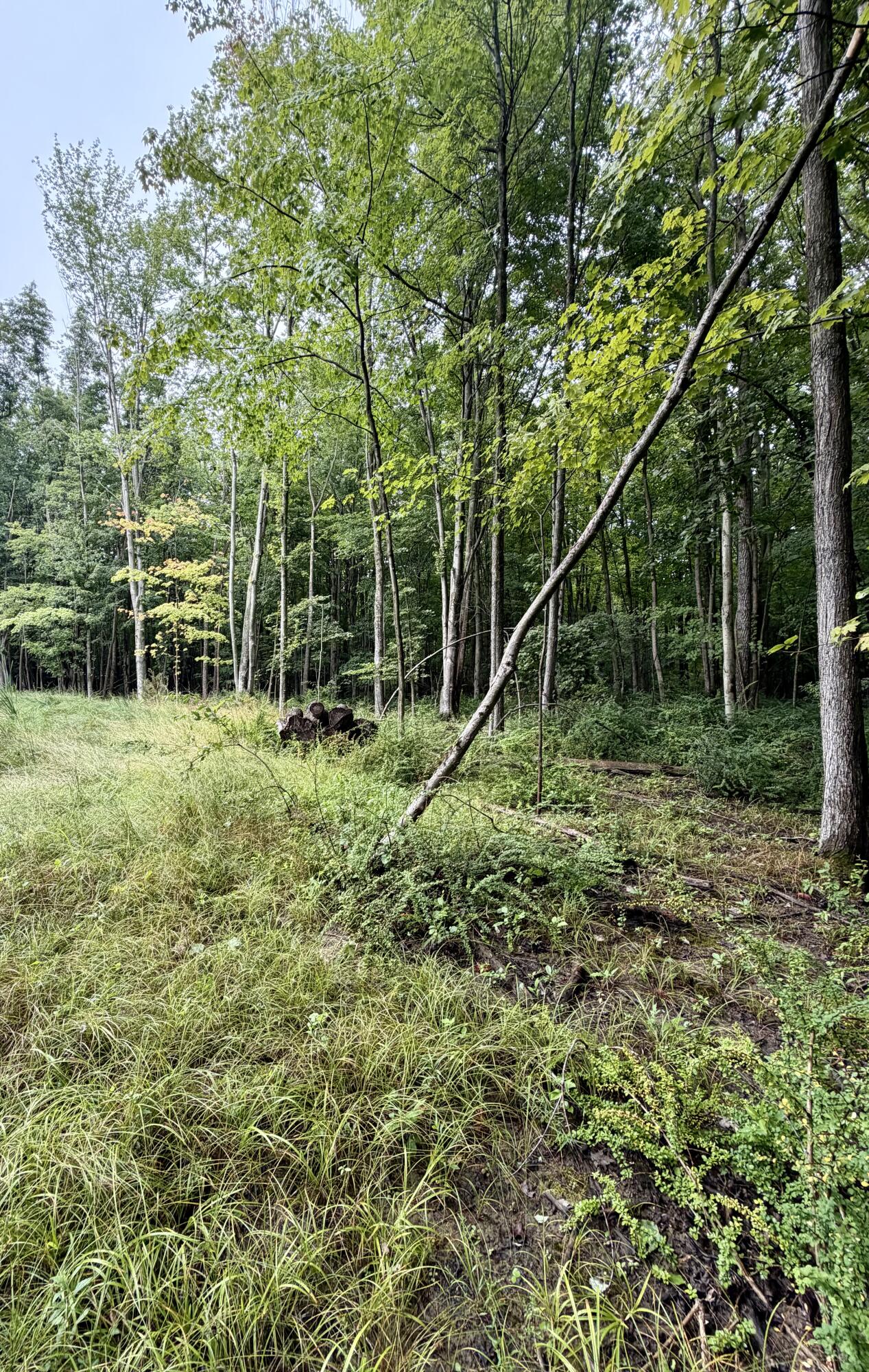 Lot 6 Christopher Lane South Haven MI 49090