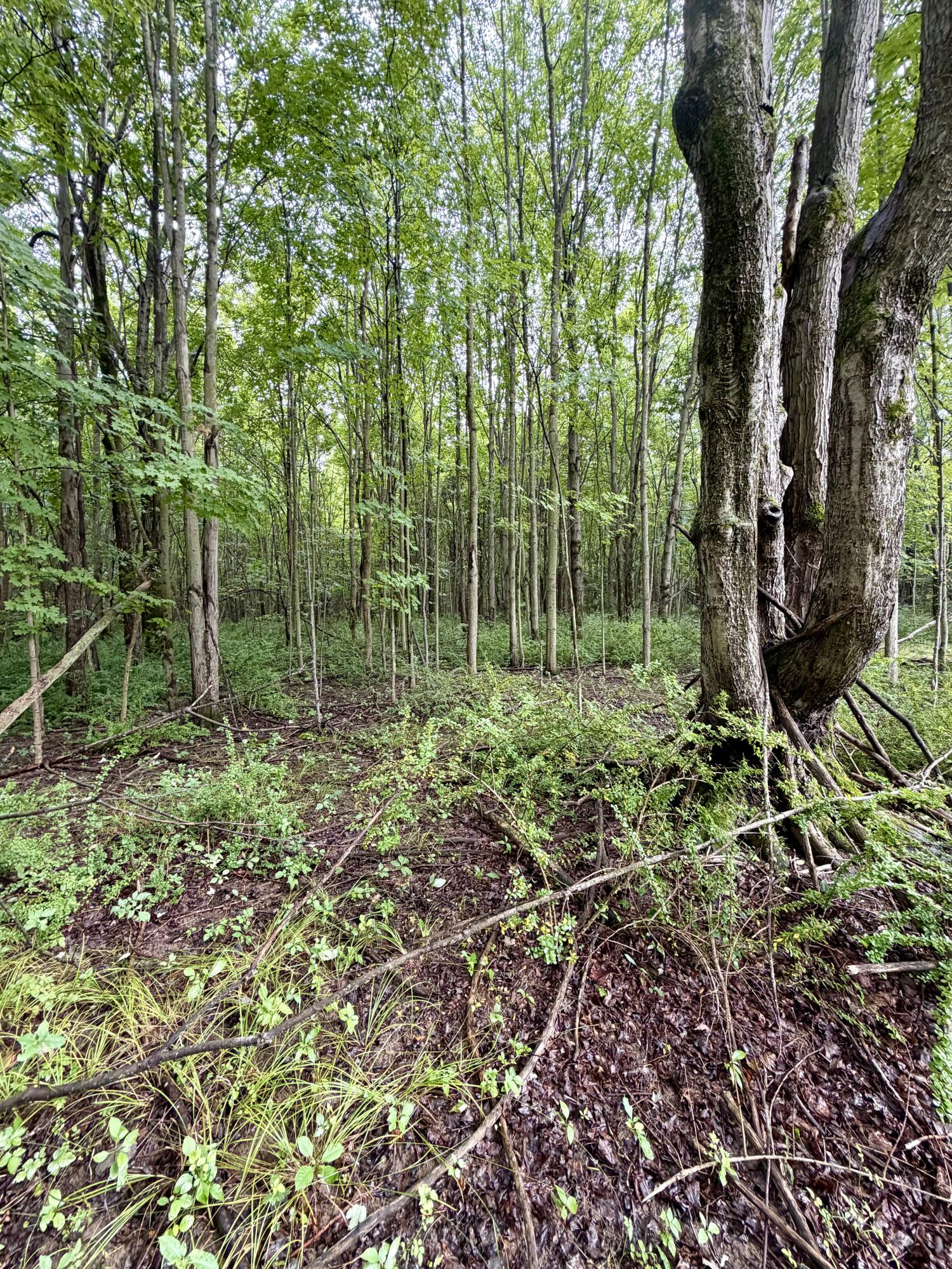 Lot 6 Christopher Lane South Haven MI 49090