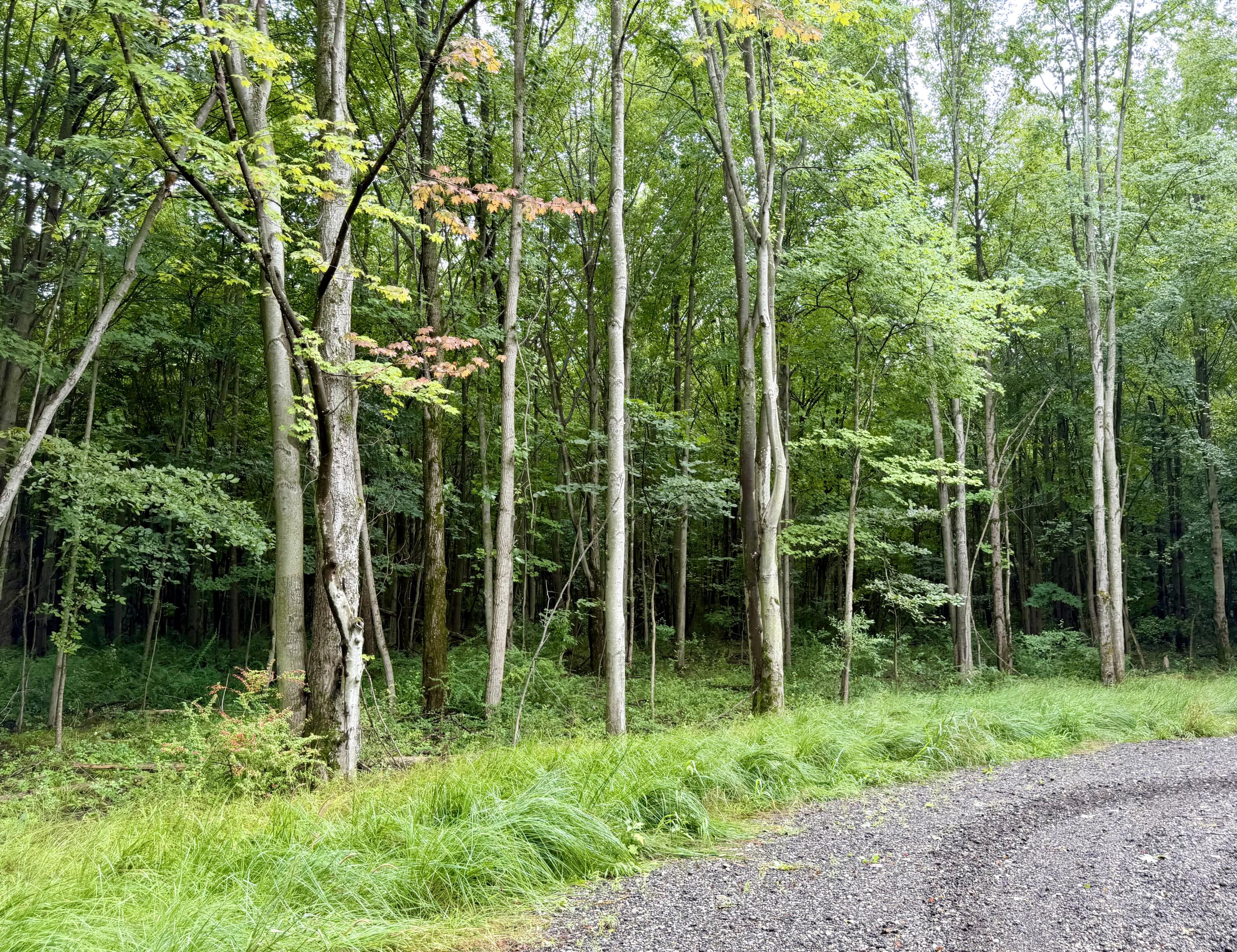 Lot 6 Christopher Lane South Haven MI 49090