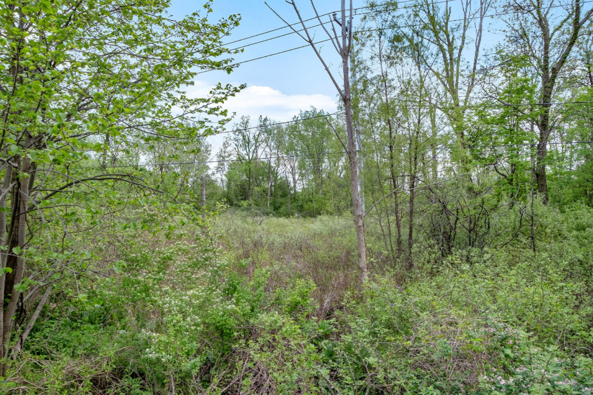 3450 E Kilgore Road Portage MI 49002
