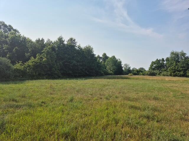 13761 "A" New Holland Street Holland MI 49424