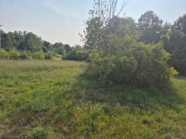 13761 "A" New Holland Street Holland MI 49424