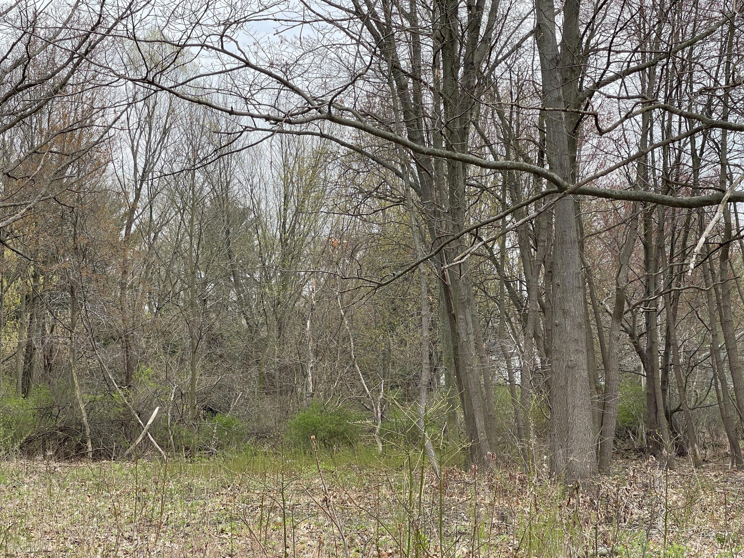 5151 Red Arrow Highway Stevensville MI 49127