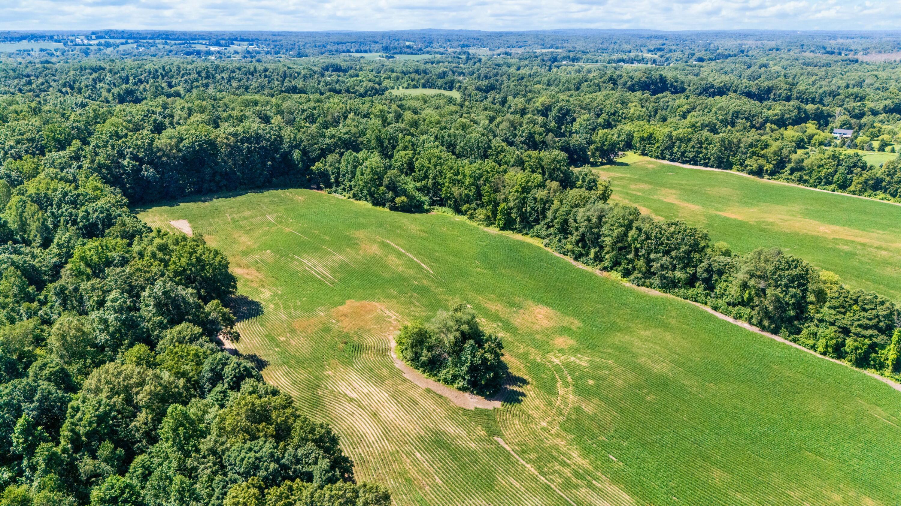 12753 Bliss Road Marcellus MI 49067