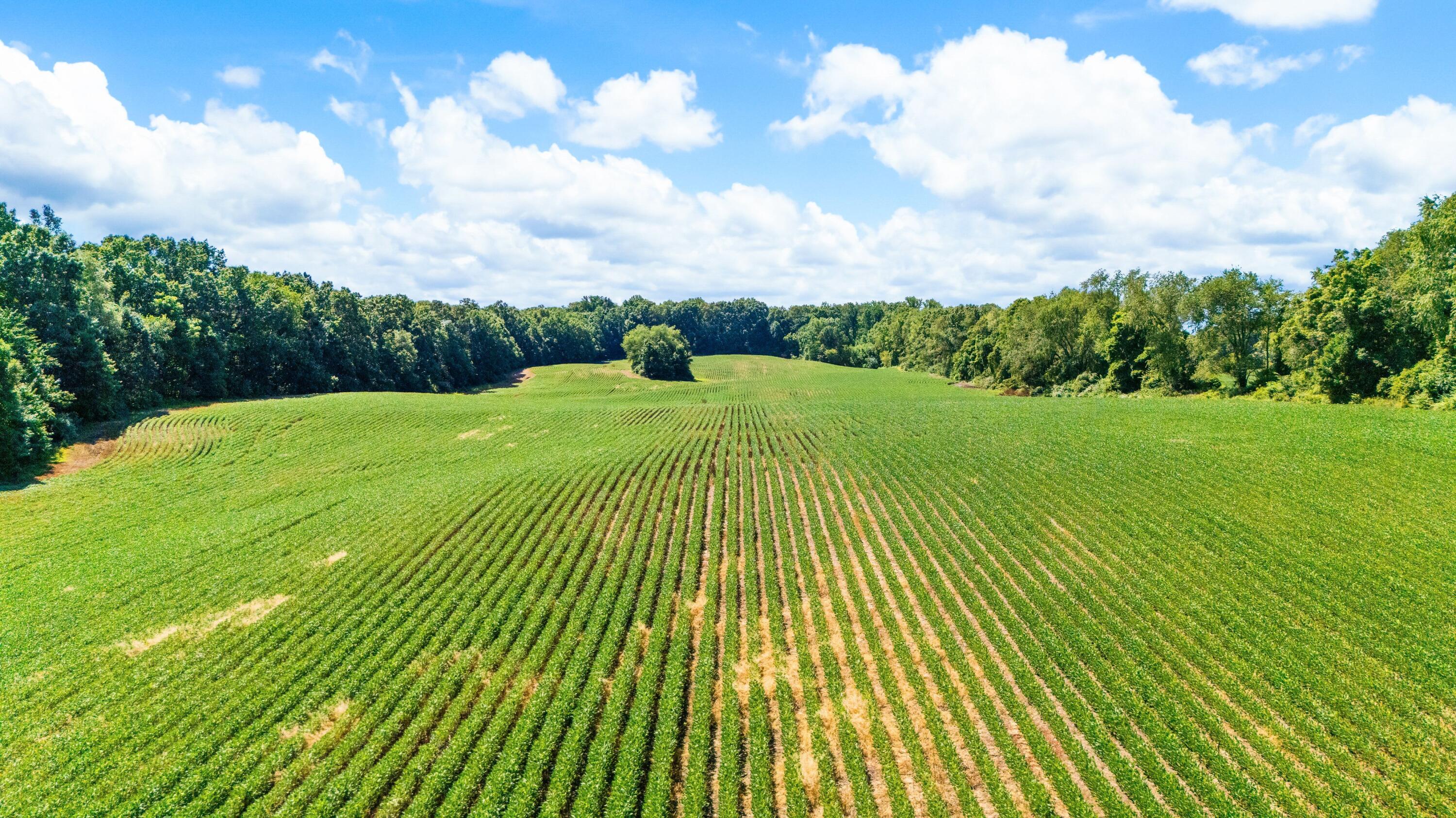 12753 Bliss Road Marcellus MI 49067
