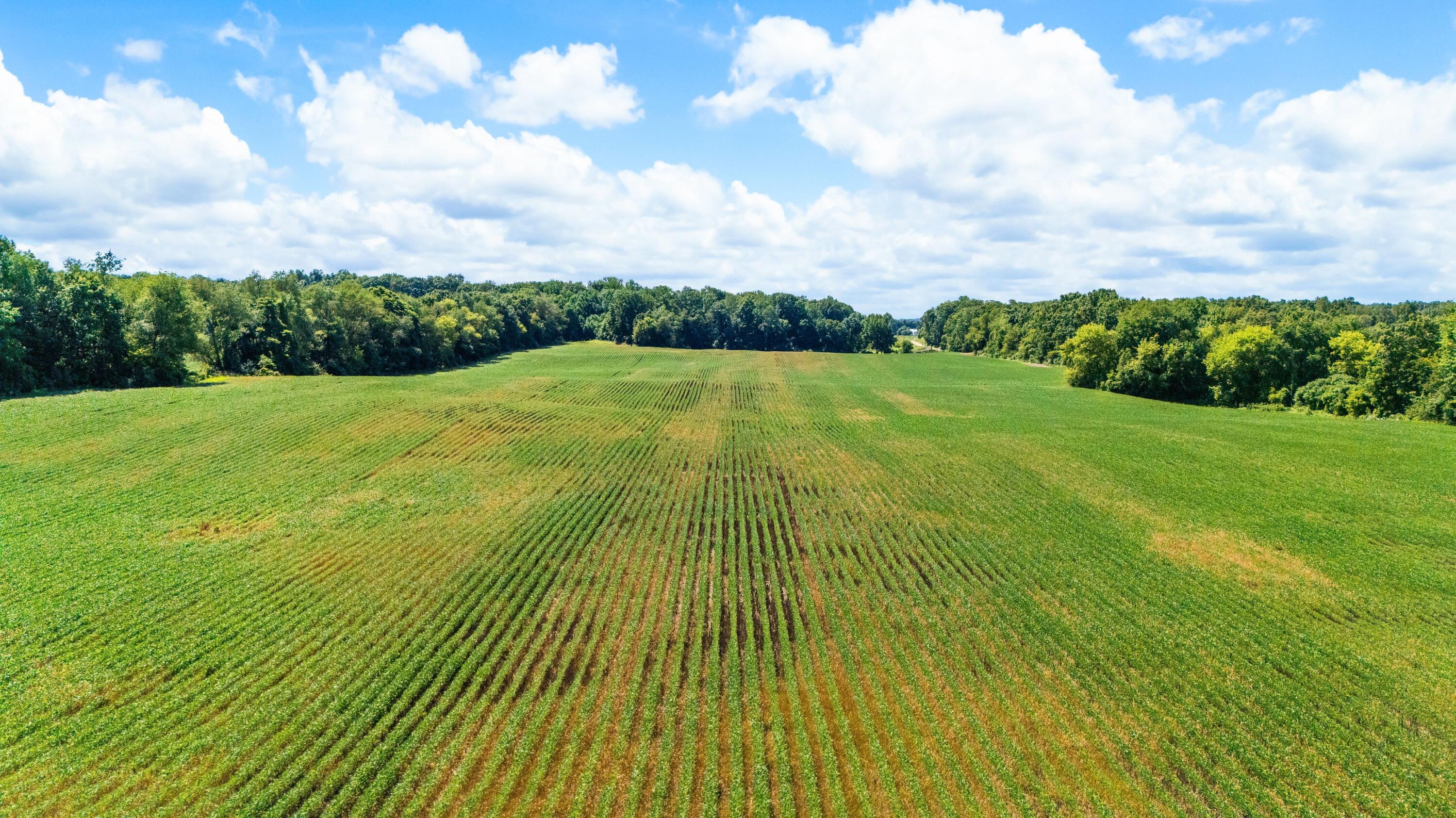 12753 Bliss Road Marcellus MI 49067