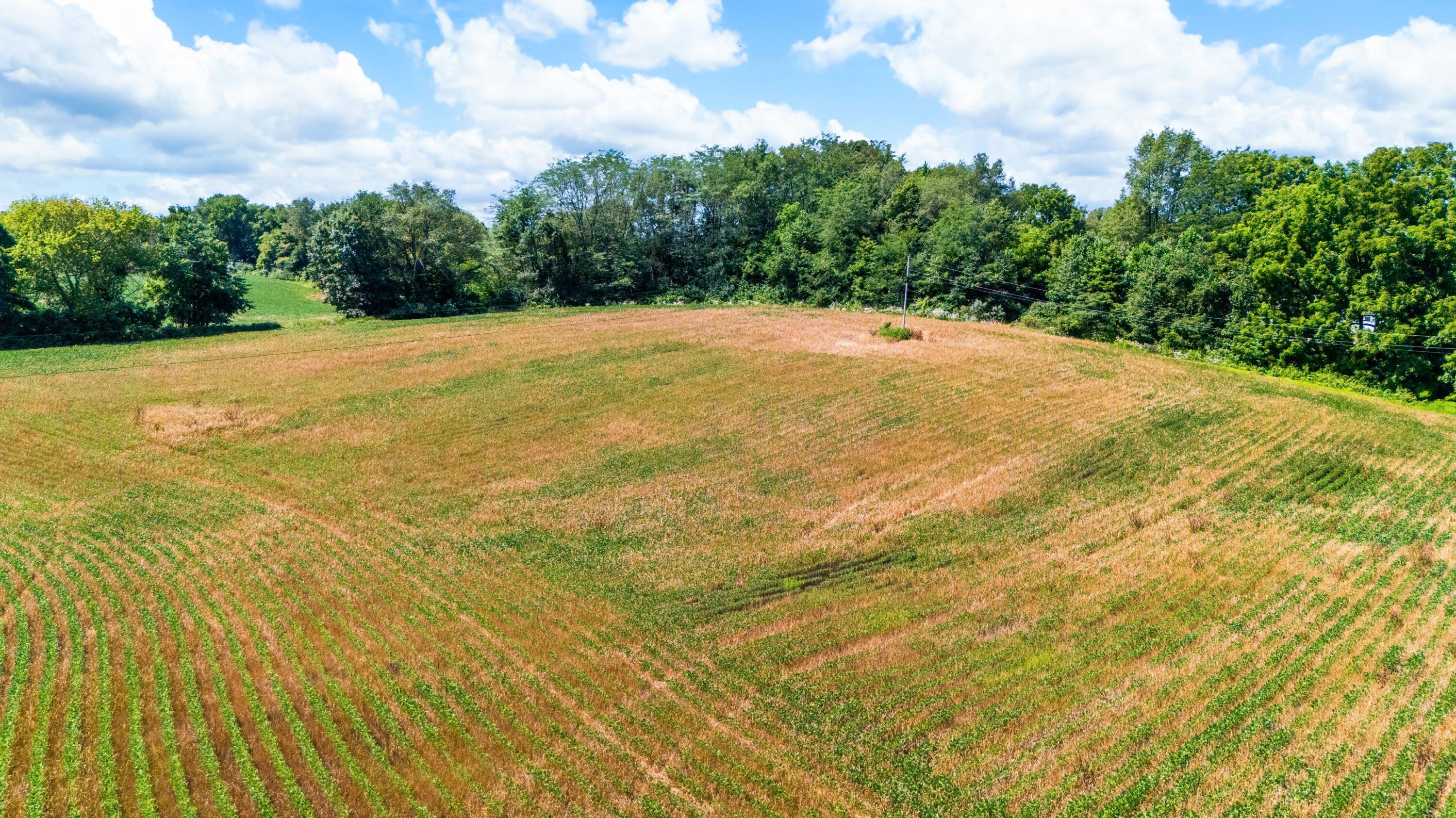 12753 Bliss Road Marcellus MI 49067