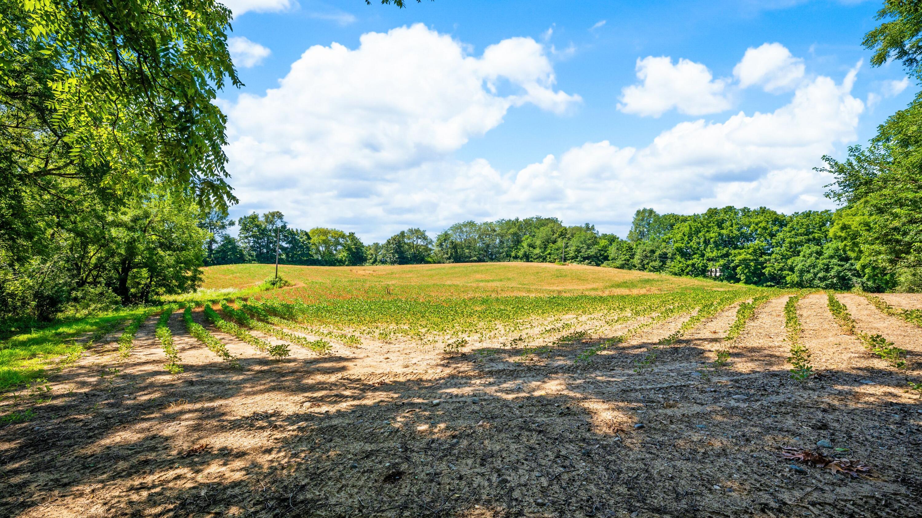 12753 Bliss Road Marcellus MI 49067