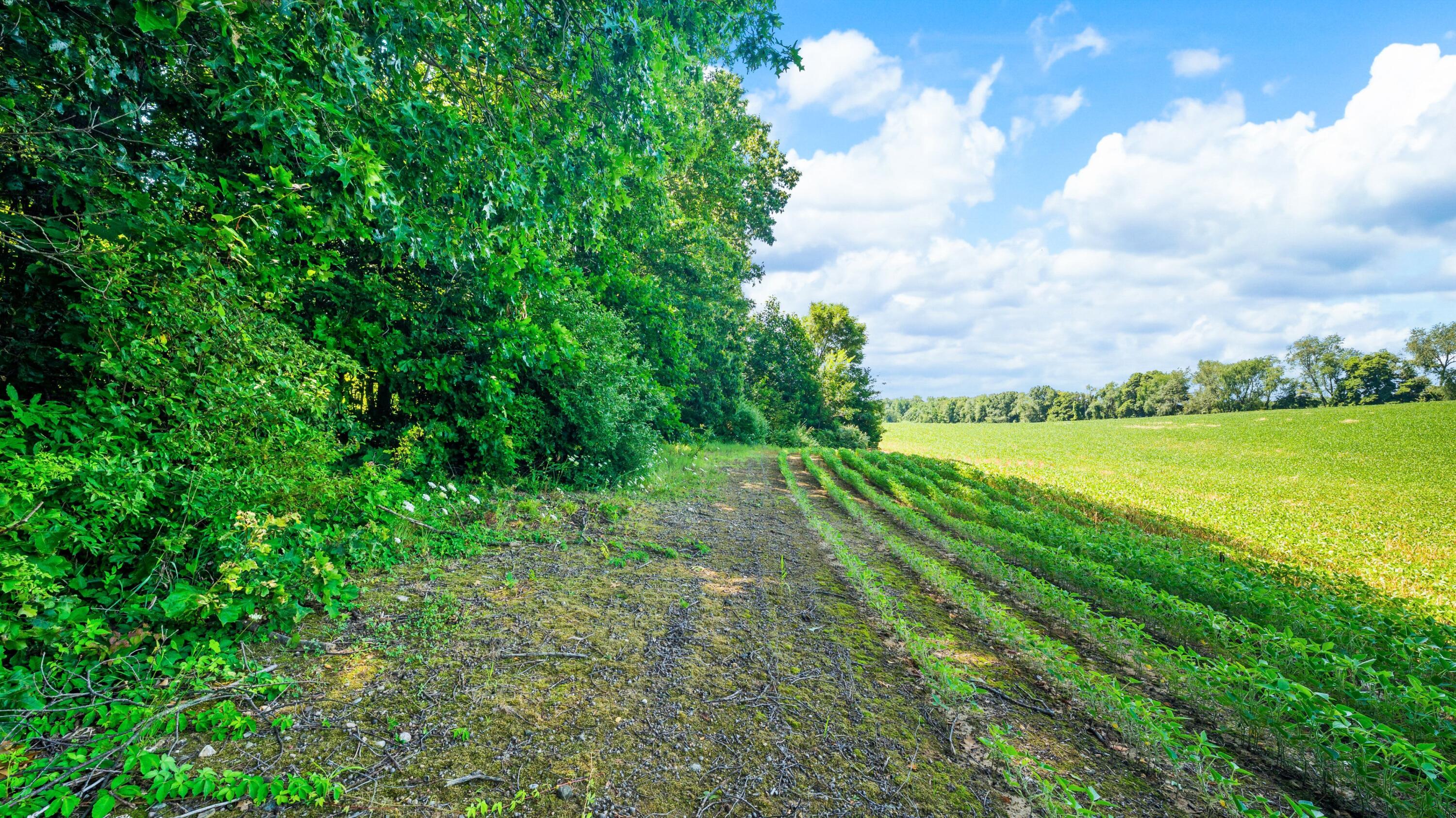 12753 Bliss Road Marcellus MI 49067