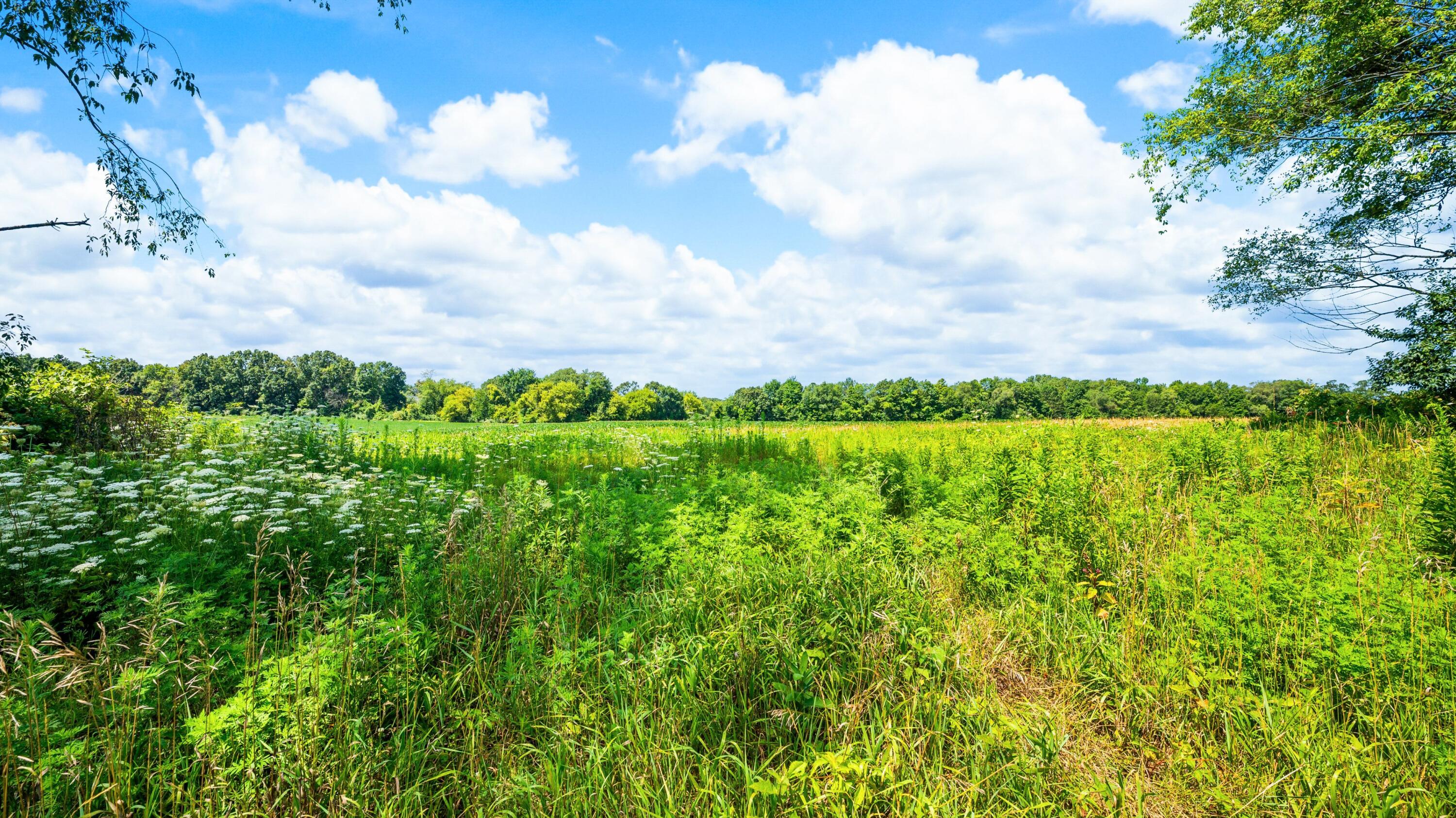 12753 Bliss Road Marcellus MI 49067