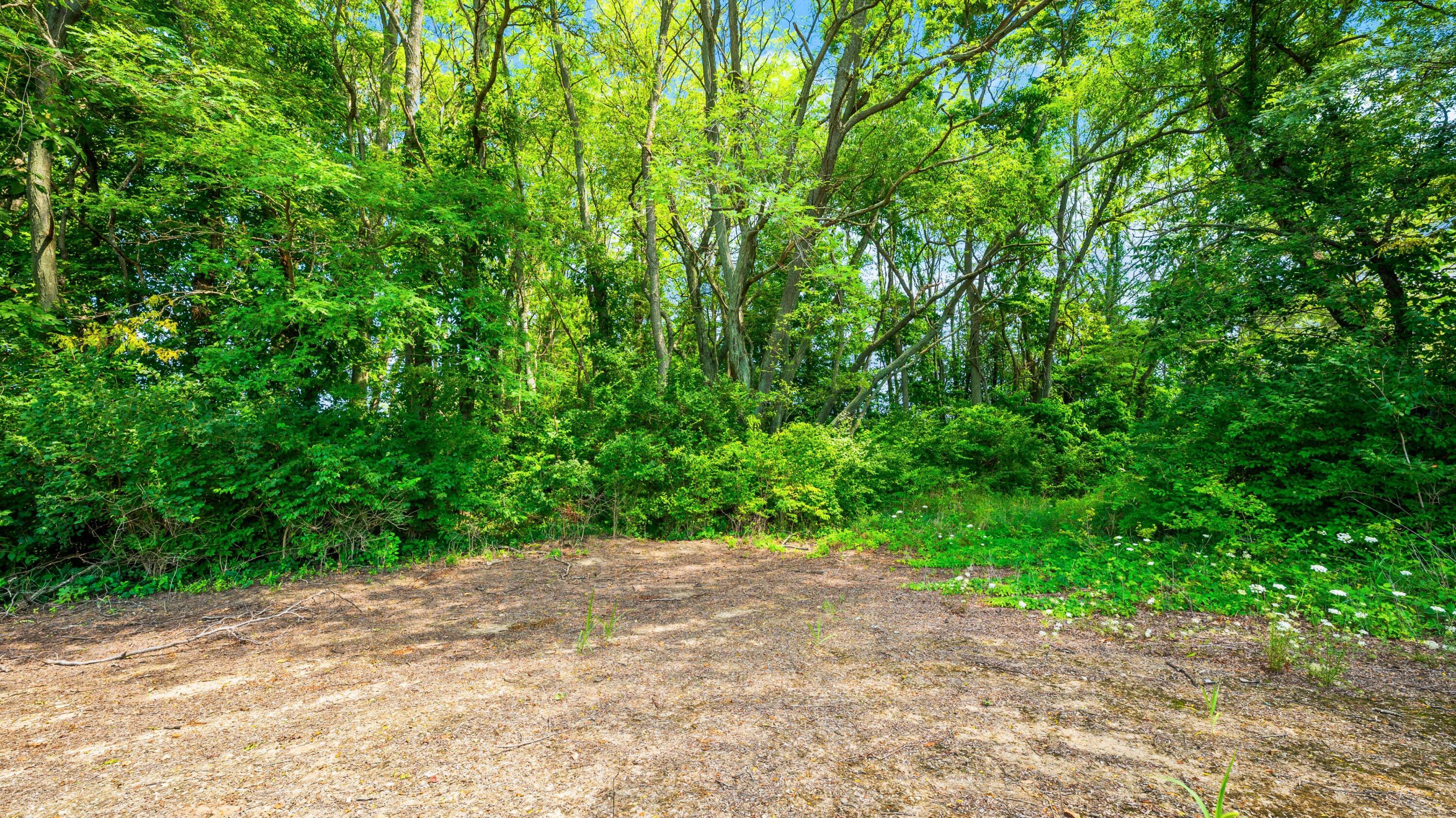 12753 Bliss Road Marcellus MI 49067