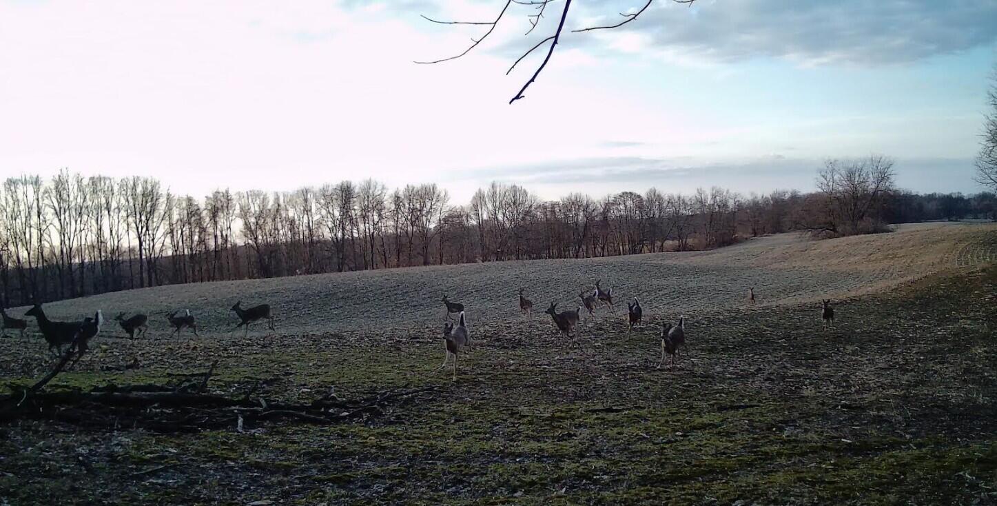 12753 Bliss Road Marcellus MI 49067
