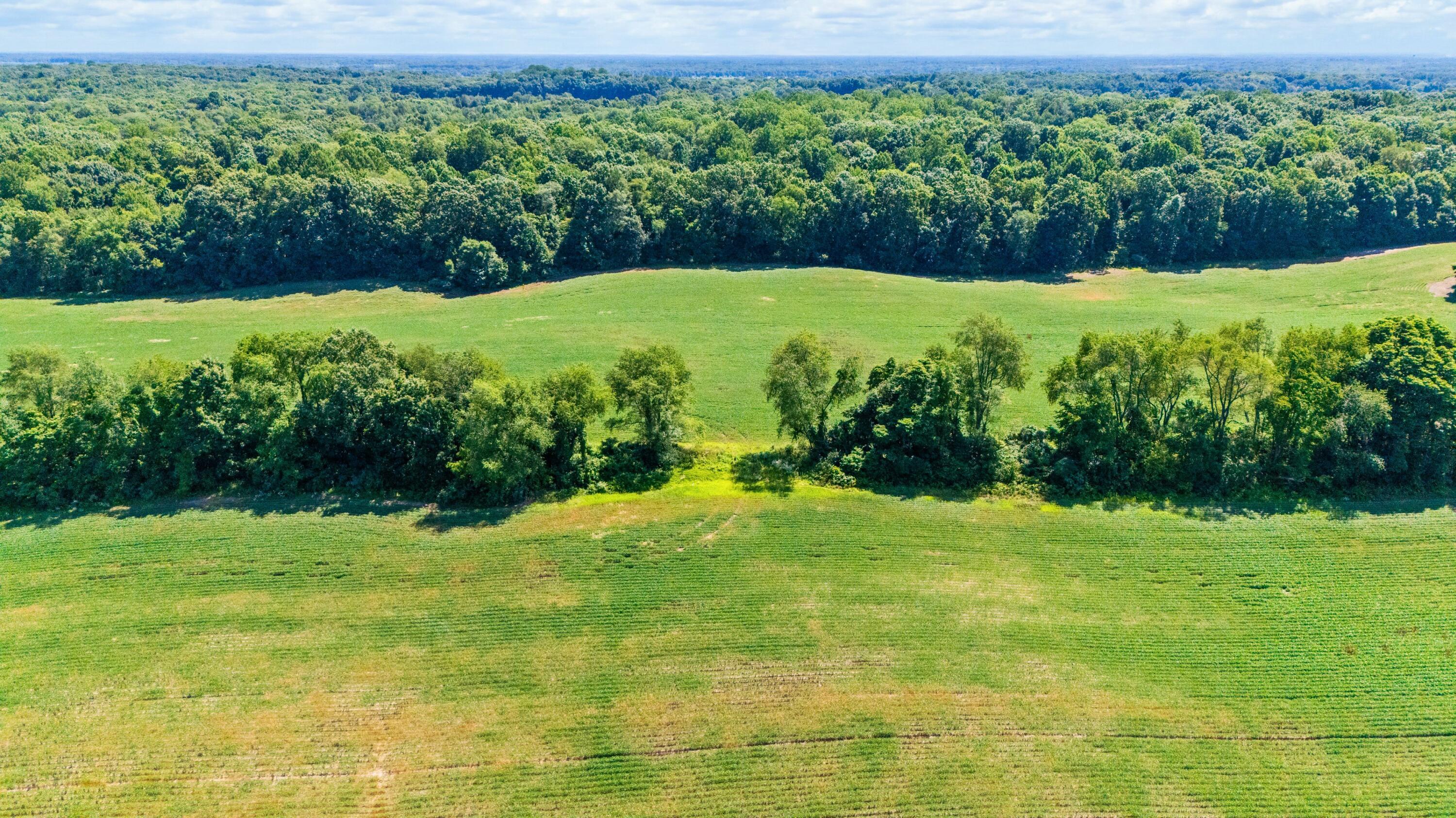 12753 Bliss Road Marcellus MI 49067