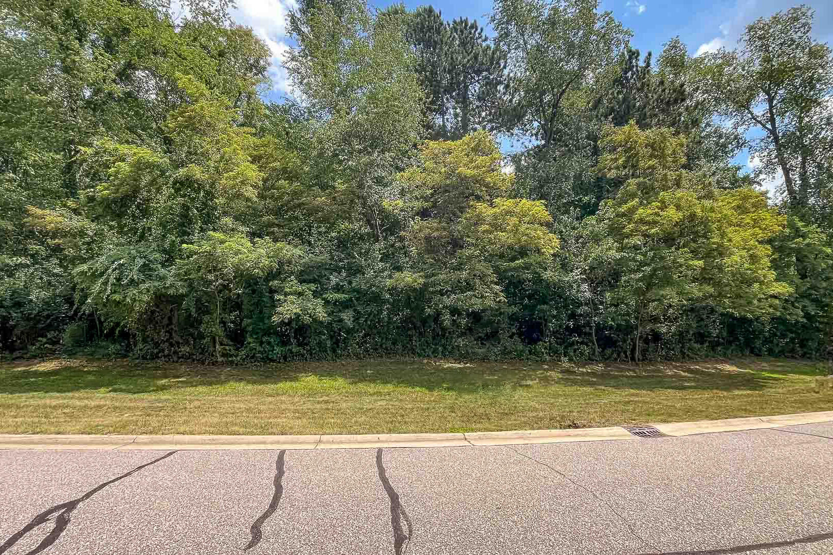 Pine Ridge Drive Niles MI 49120