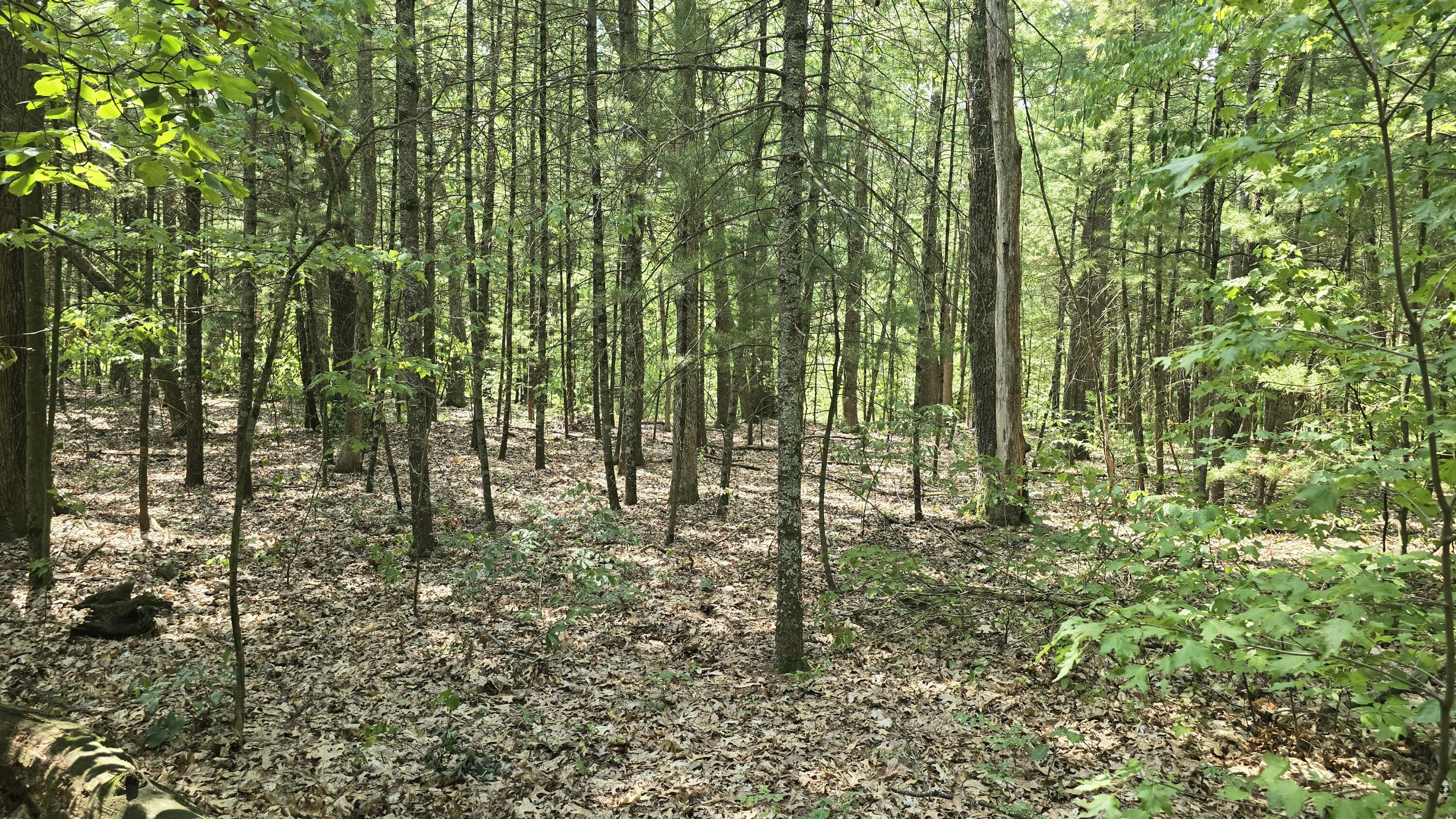 Lot 9 Wildwood Drive Allegan MI 49010
