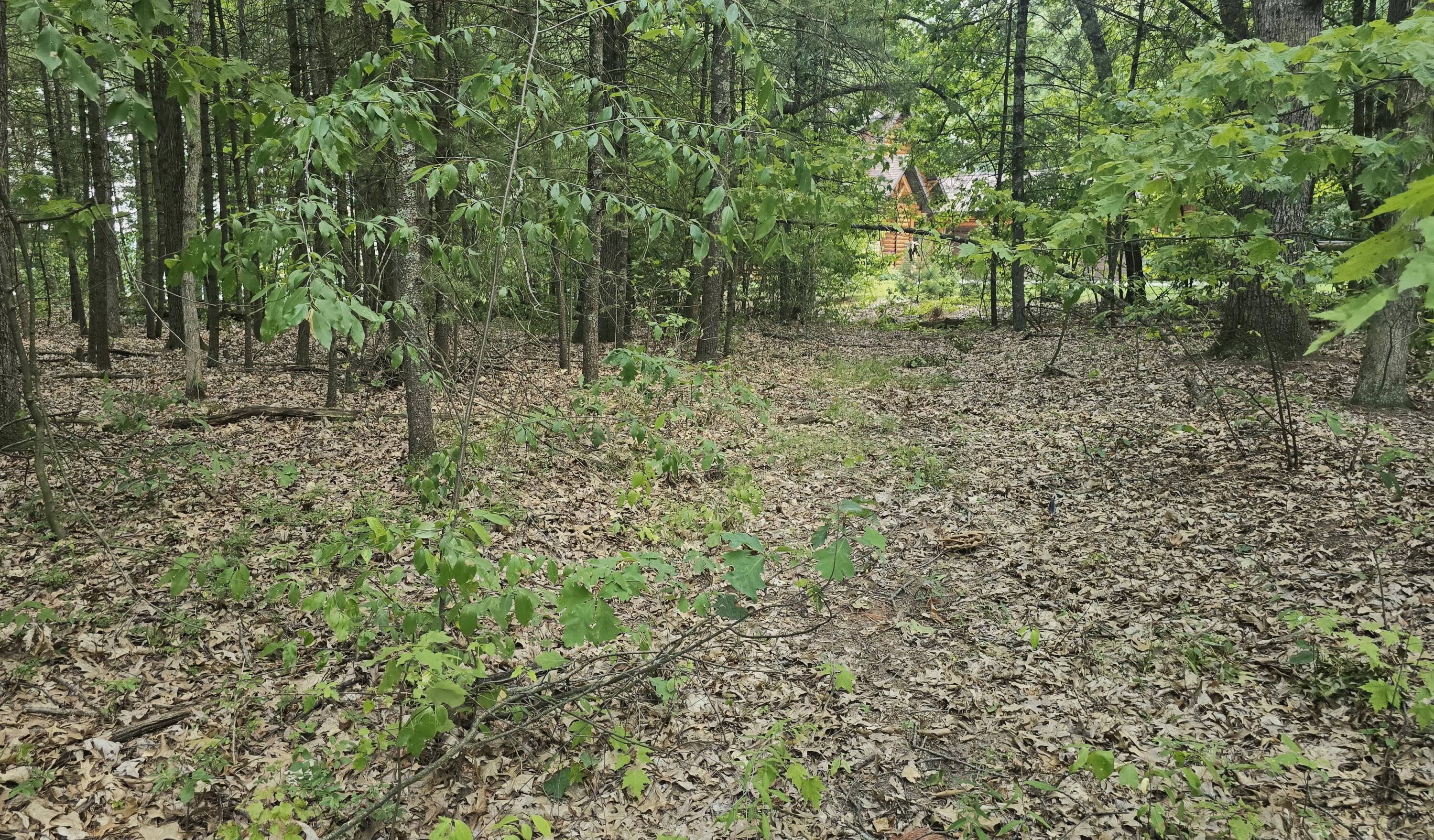 Lot 9 Wildwood Drive Allegan MI 49010