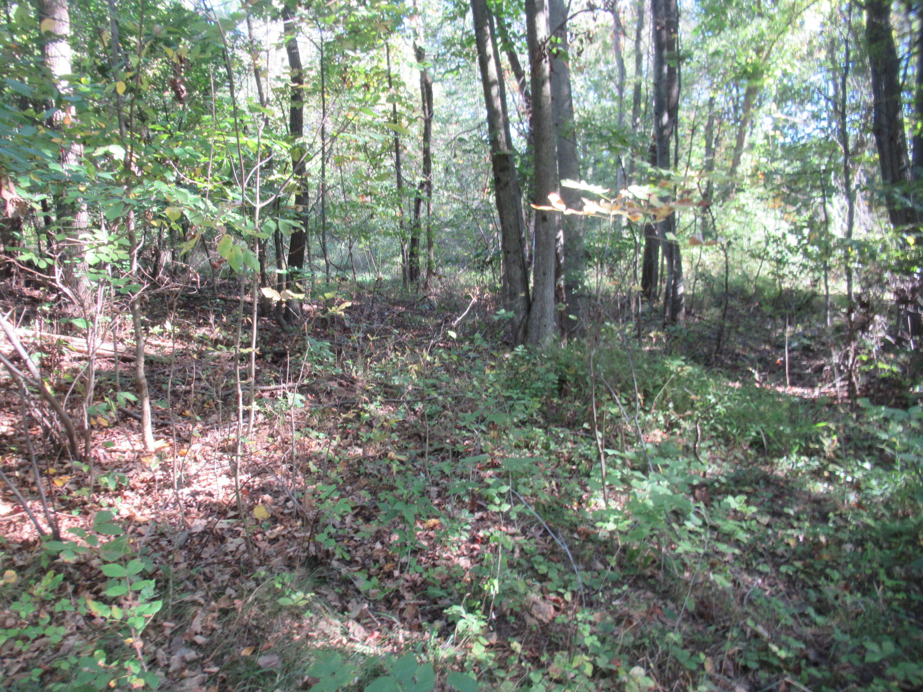 17538 Paradise Lake Road Vandalia MI 49095