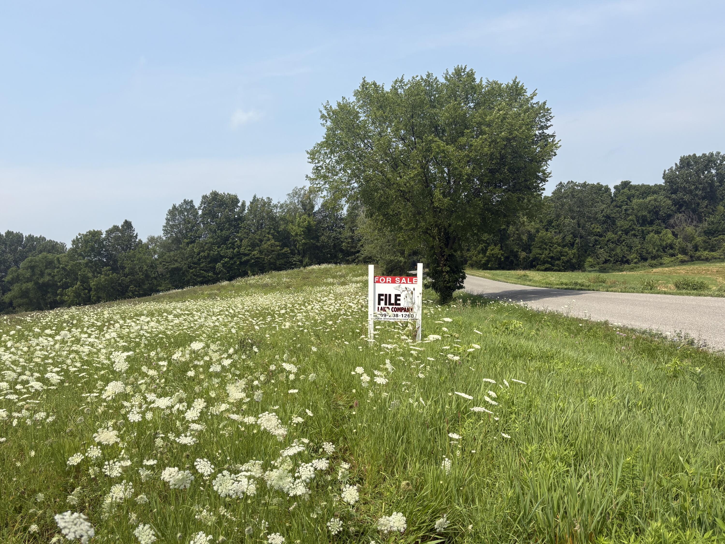 210 W Wagner Road Buchanan MI 49107