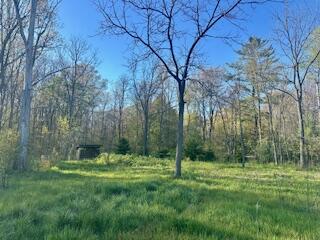 5489 130th Avenue Fennville MI 49408