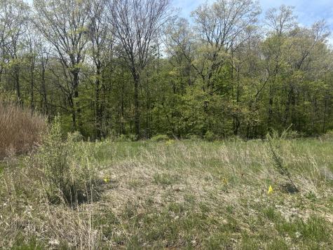 Jane Way Sawyer MI 49125
