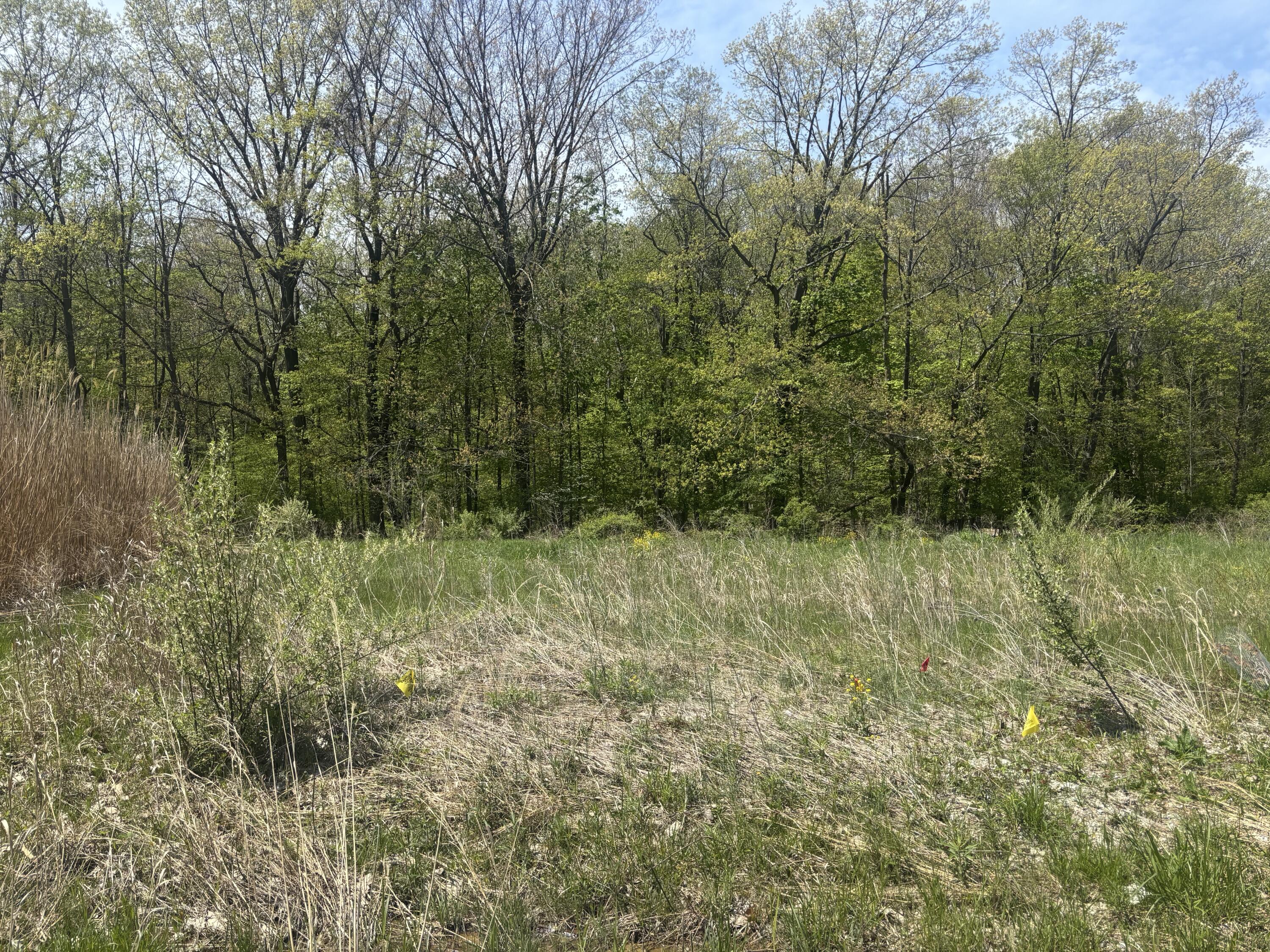Jane Way Sawyer MI 49125