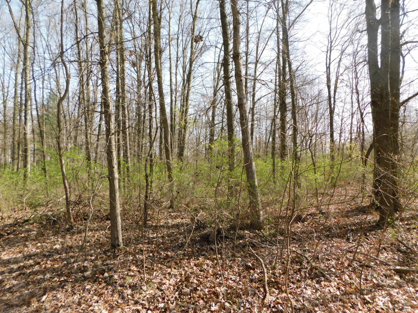 2583 Sodus Parkway Sodus MI 49126