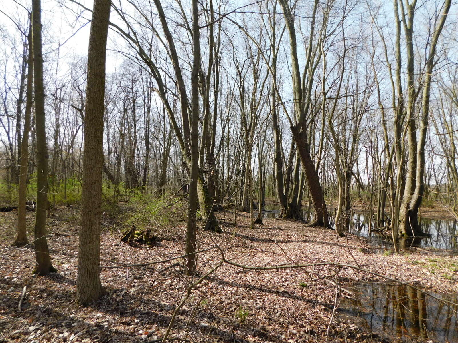 2583 Sodus Parkway Sodus MI 49126