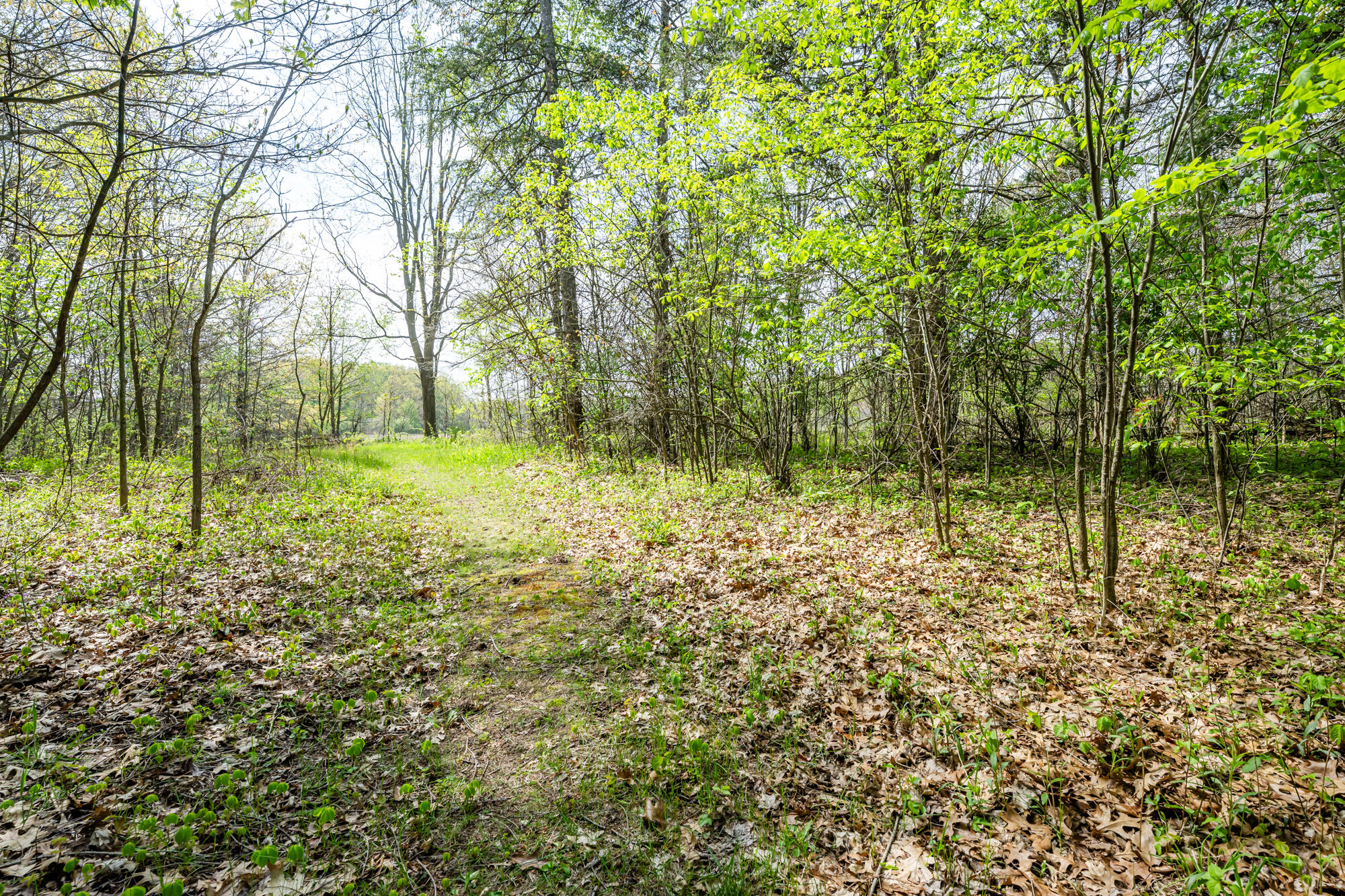 0A Linke Road Bridgman MI 49106