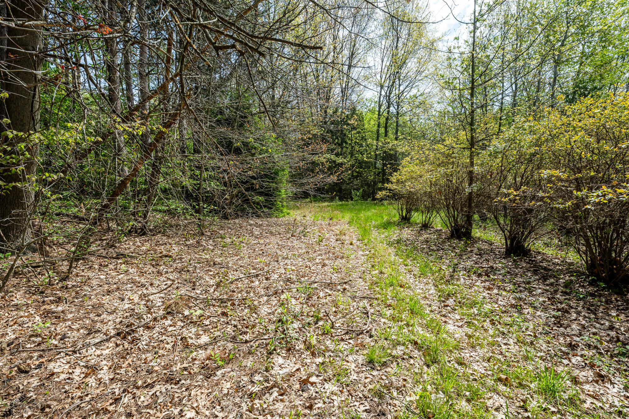0A Linke Road Bridgman MI 49106
