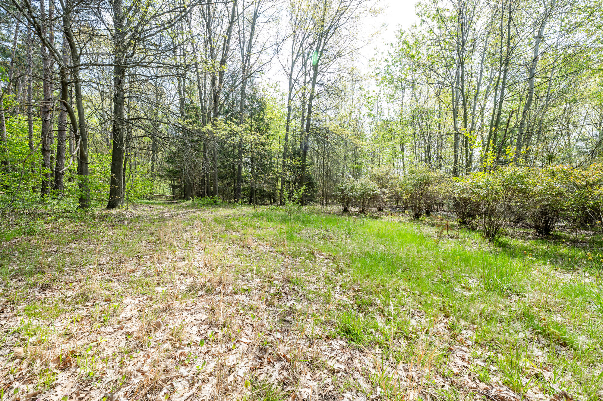 0A Linke Road Bridgman MI 49106