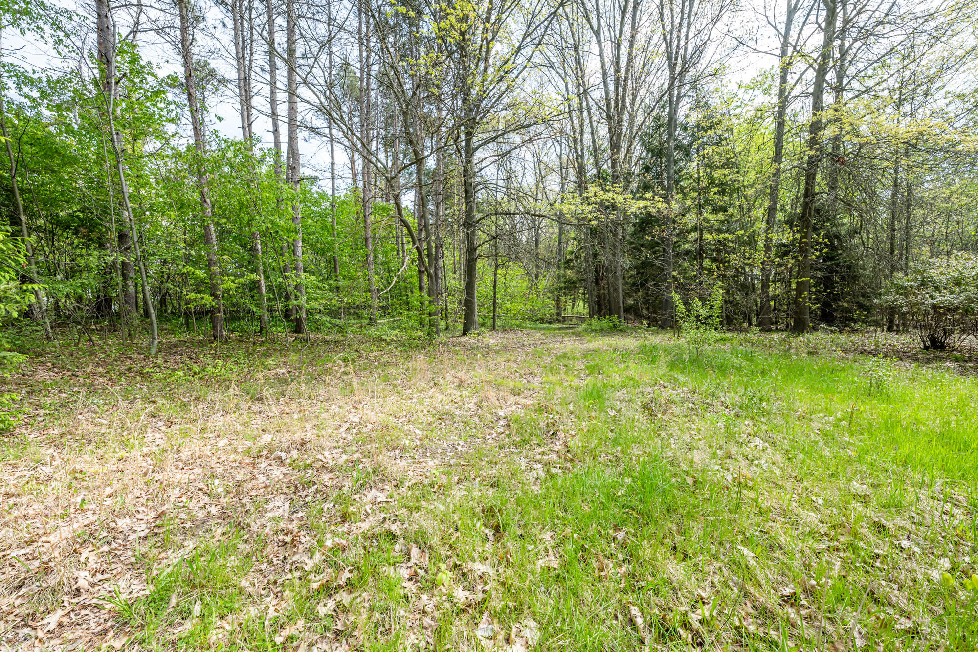 0A Linke Road Bridgman MI 49106