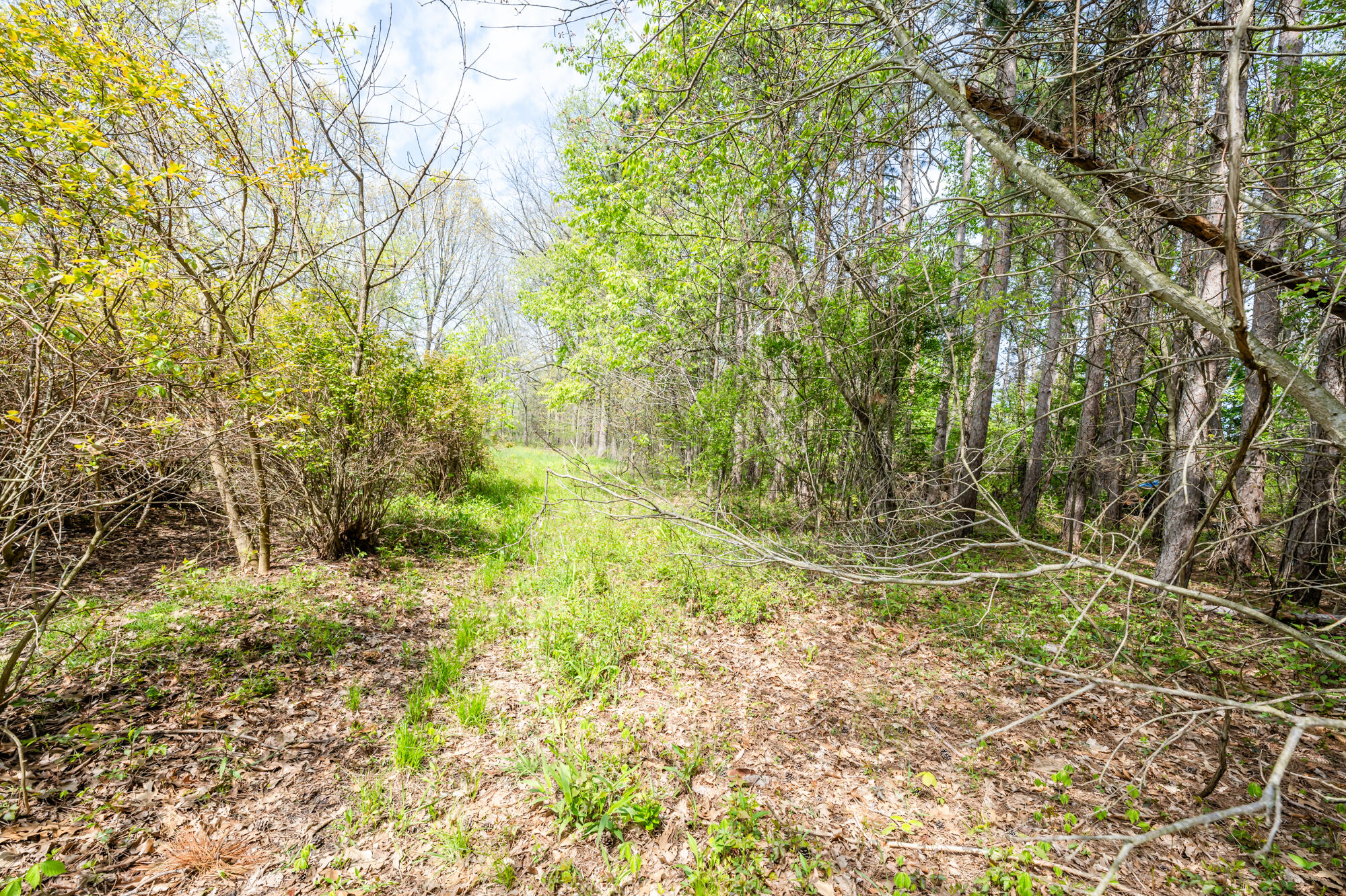0A Linke Road Bridgman MI 49106