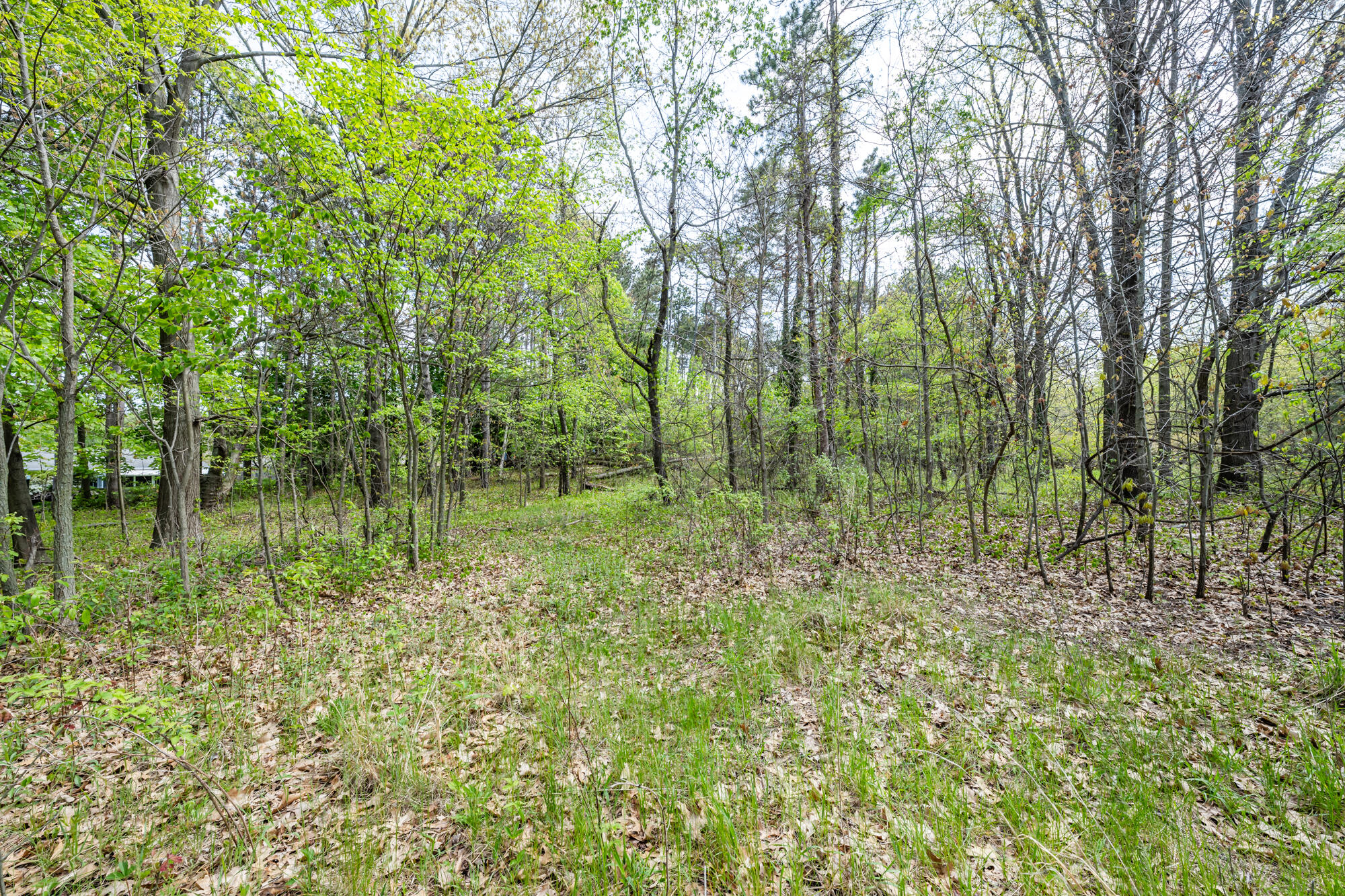 0A Linke Road Bridgman MI 49106