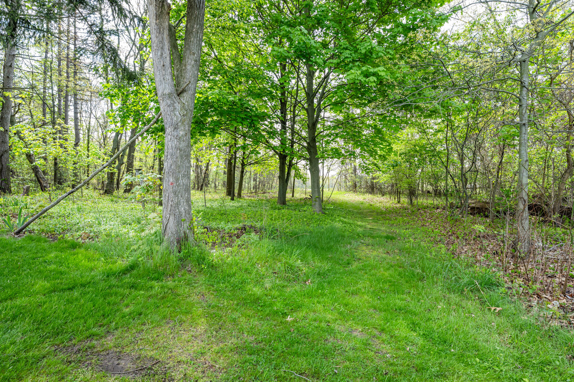 0A Linke Road Bridgman MI 49106
