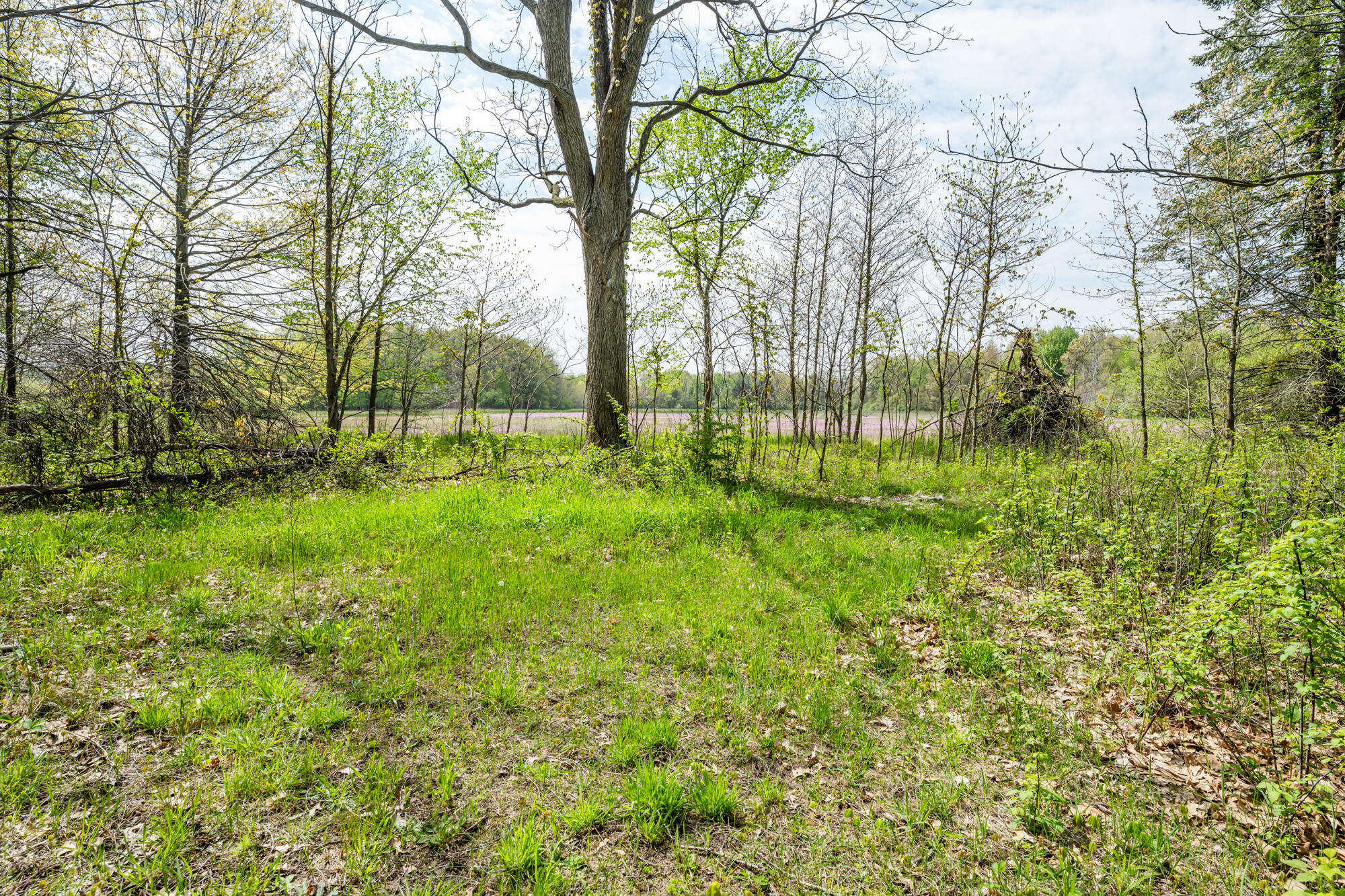 0A Linke Road Bridgman MI 49106