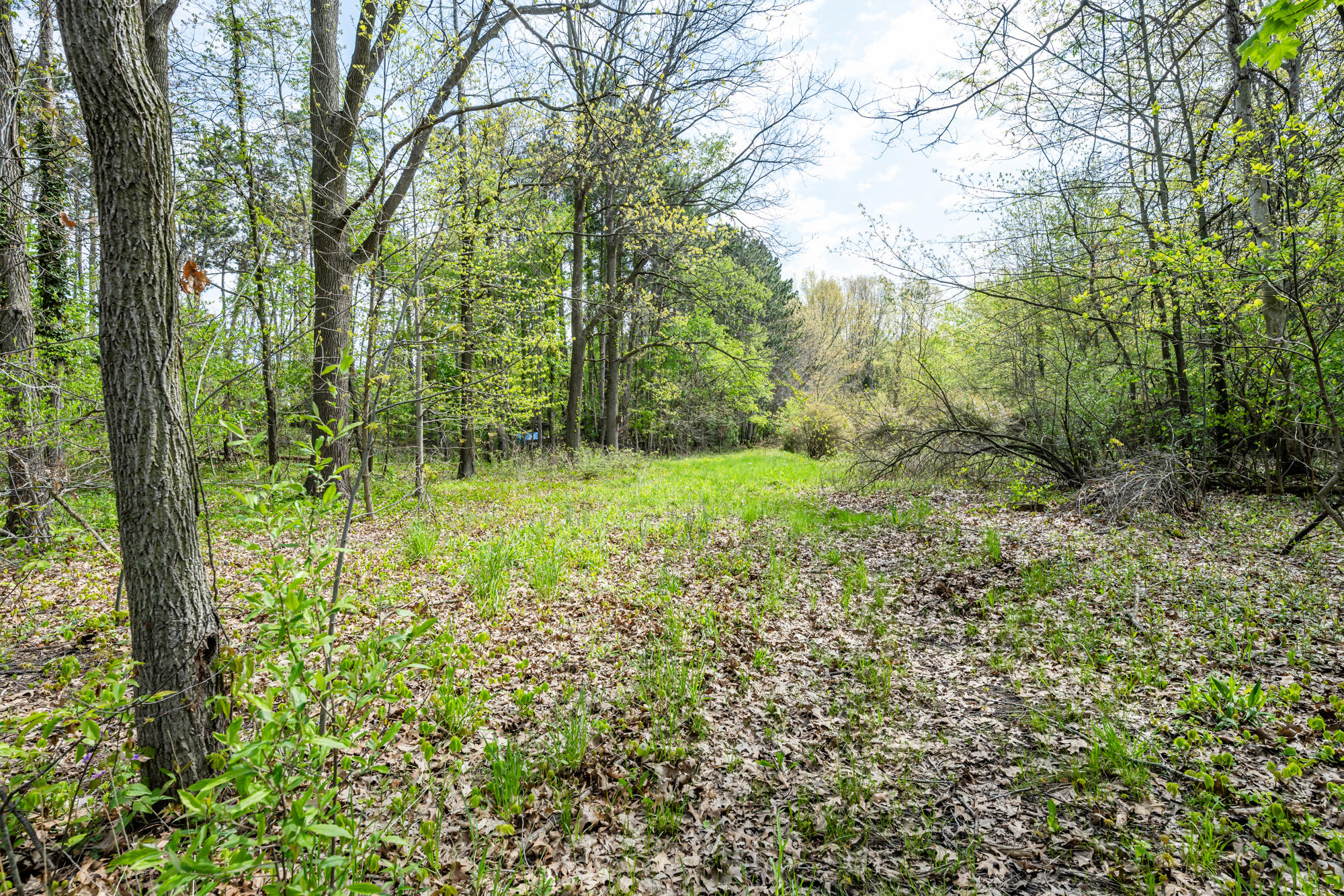 0A Linke Road Bridgman MI 49106