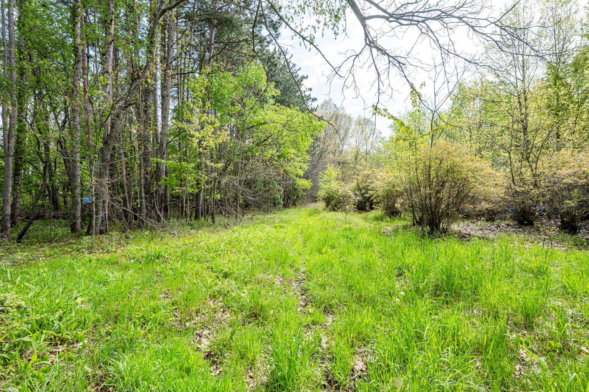 0A Linke Road Bridgman MI 49106
